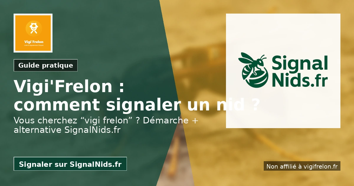 Vigi Frelon : comment signaler un nid (et alternative simple avec SignalNids)