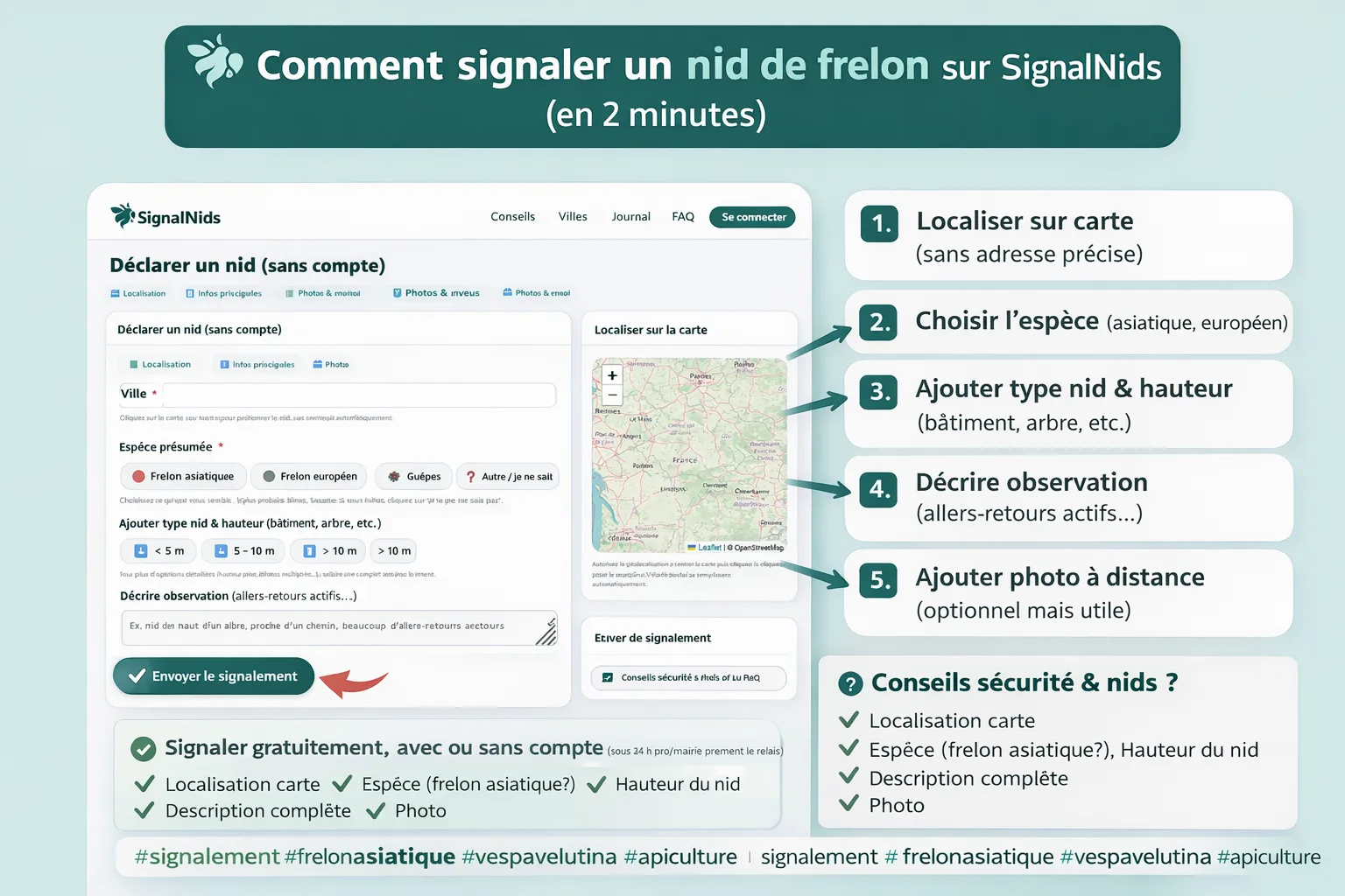 Comment signaler un nid de frelon asiatique sur SignalNids (gratuit, avec ou sans compte)