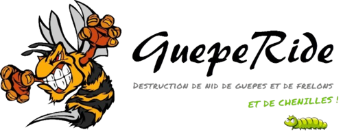 GuepeRide SAS : avis, activité, frelon asiatique et zone d’intervention
