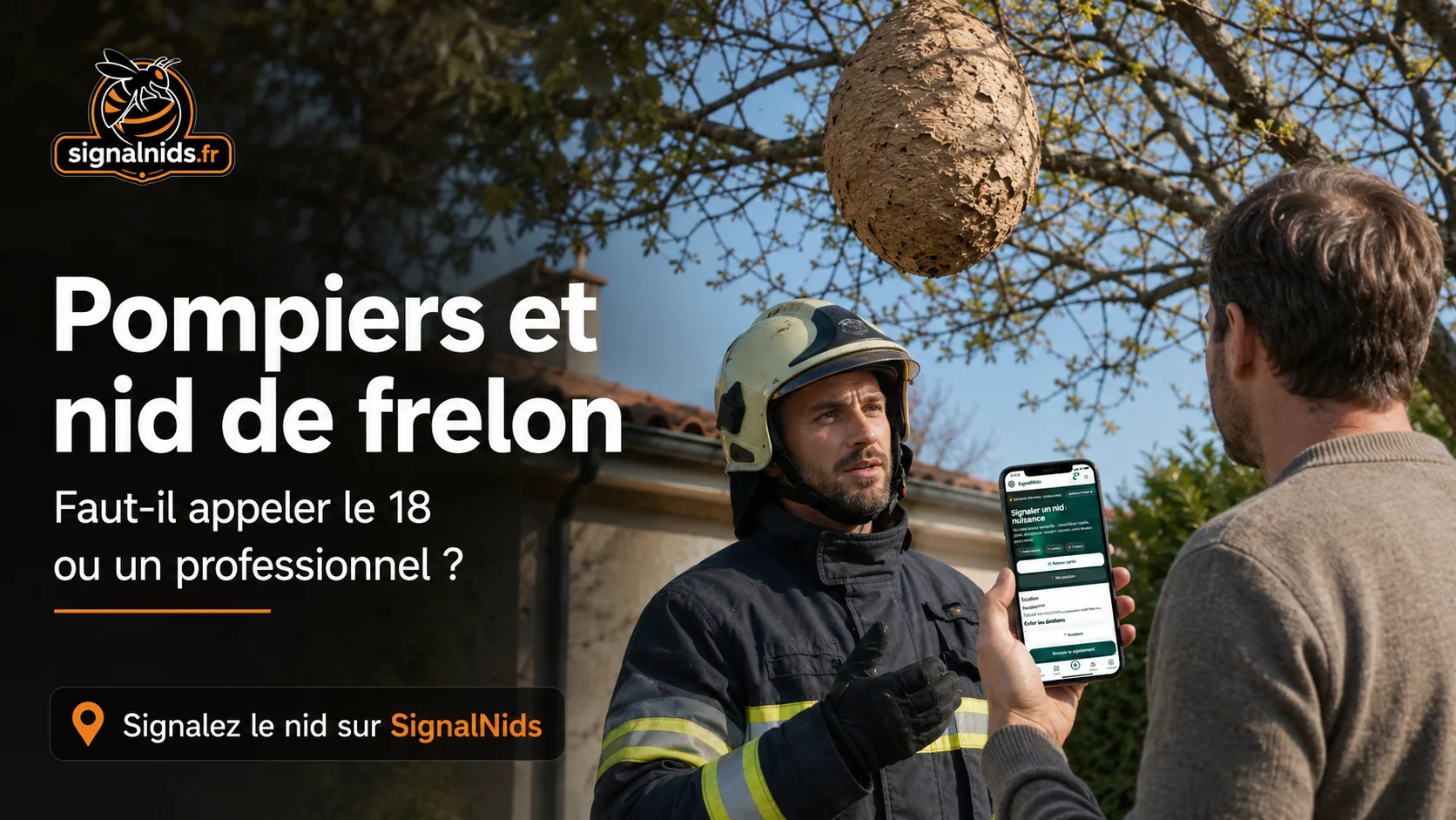 Pompiers et nid de frelon : faut-il appeler le 18 ou un professionnel ?