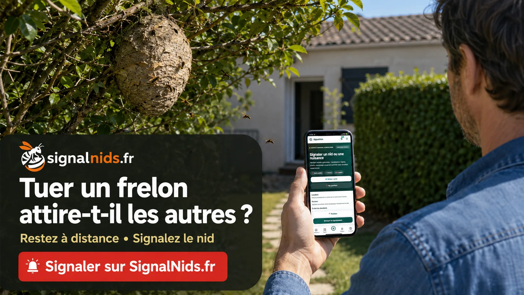 Tuer un frelon attire-t-il les autres ? Ce qu’il faut vraiment savoir