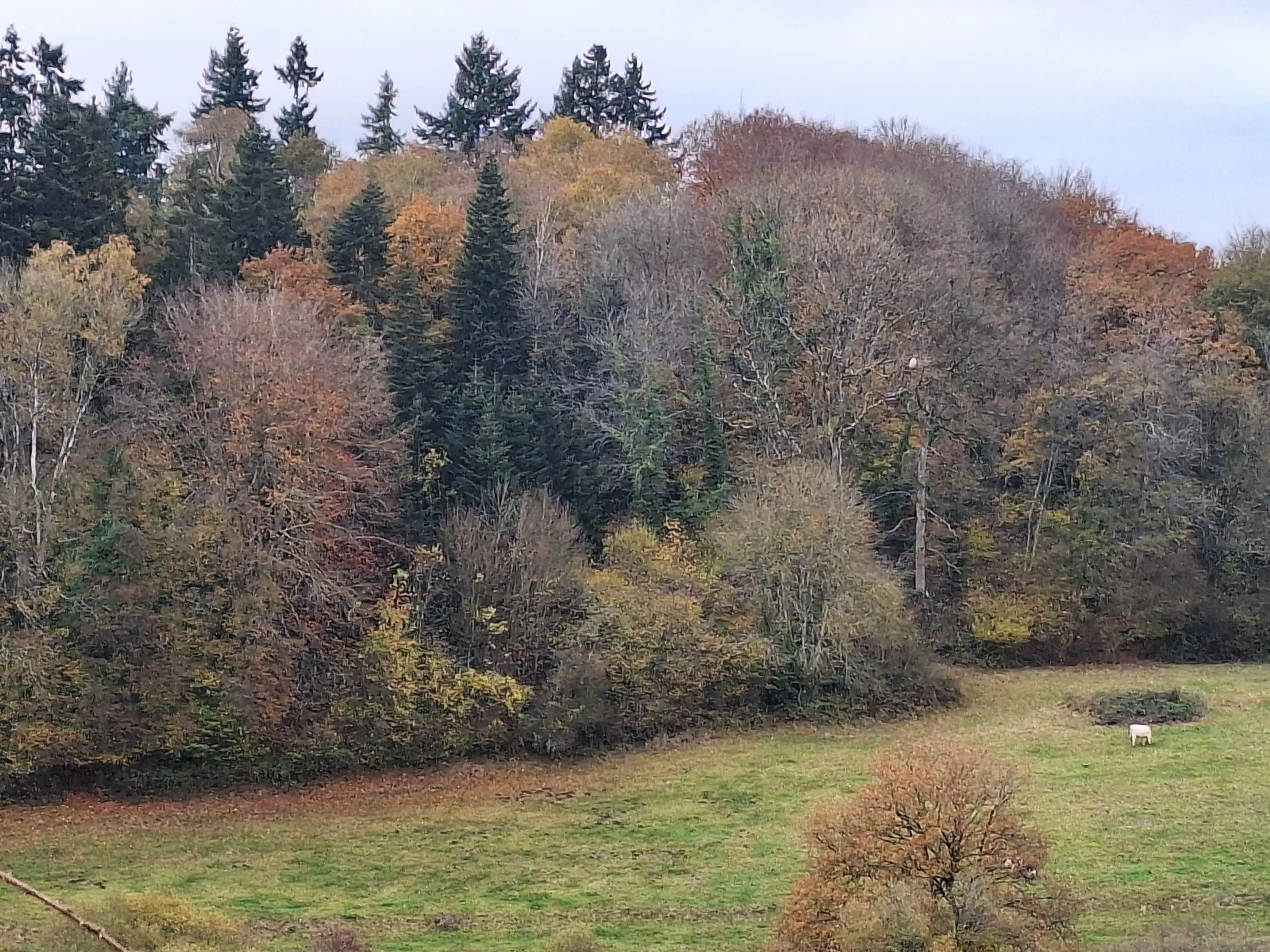 Photo partagée par sabrina