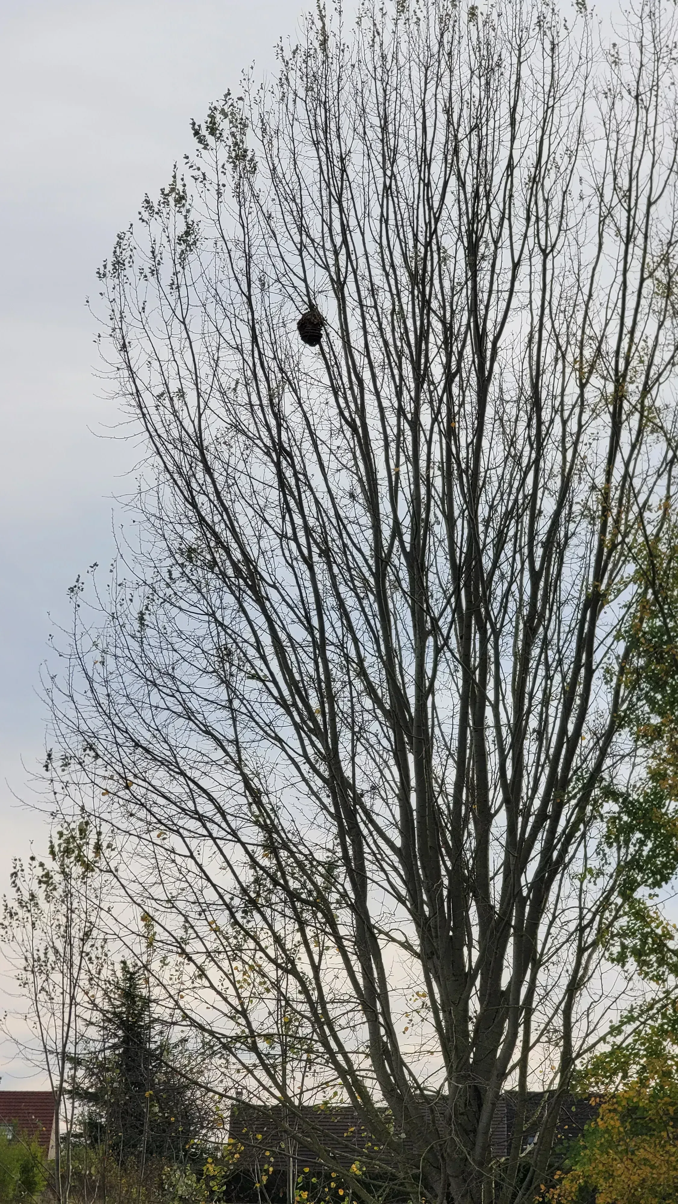 Photo partagée par Dc77