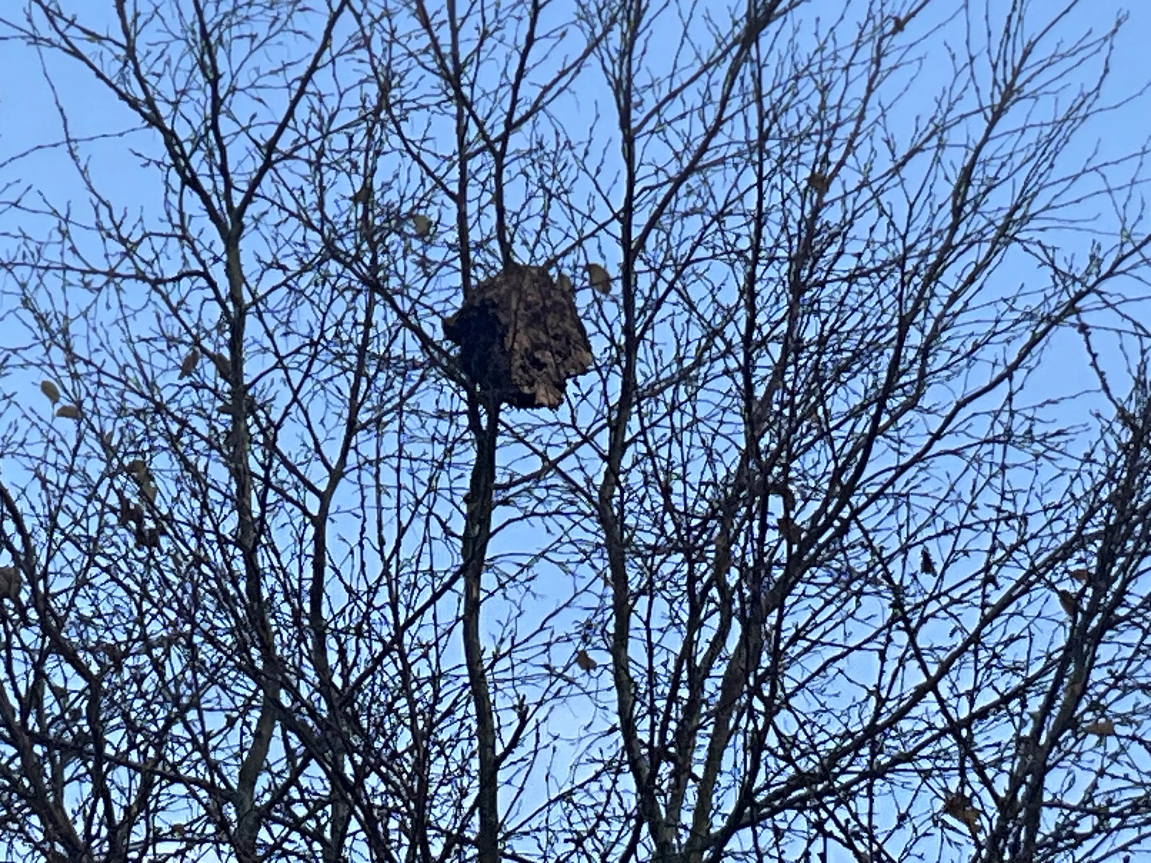 Photo partagée par Christine