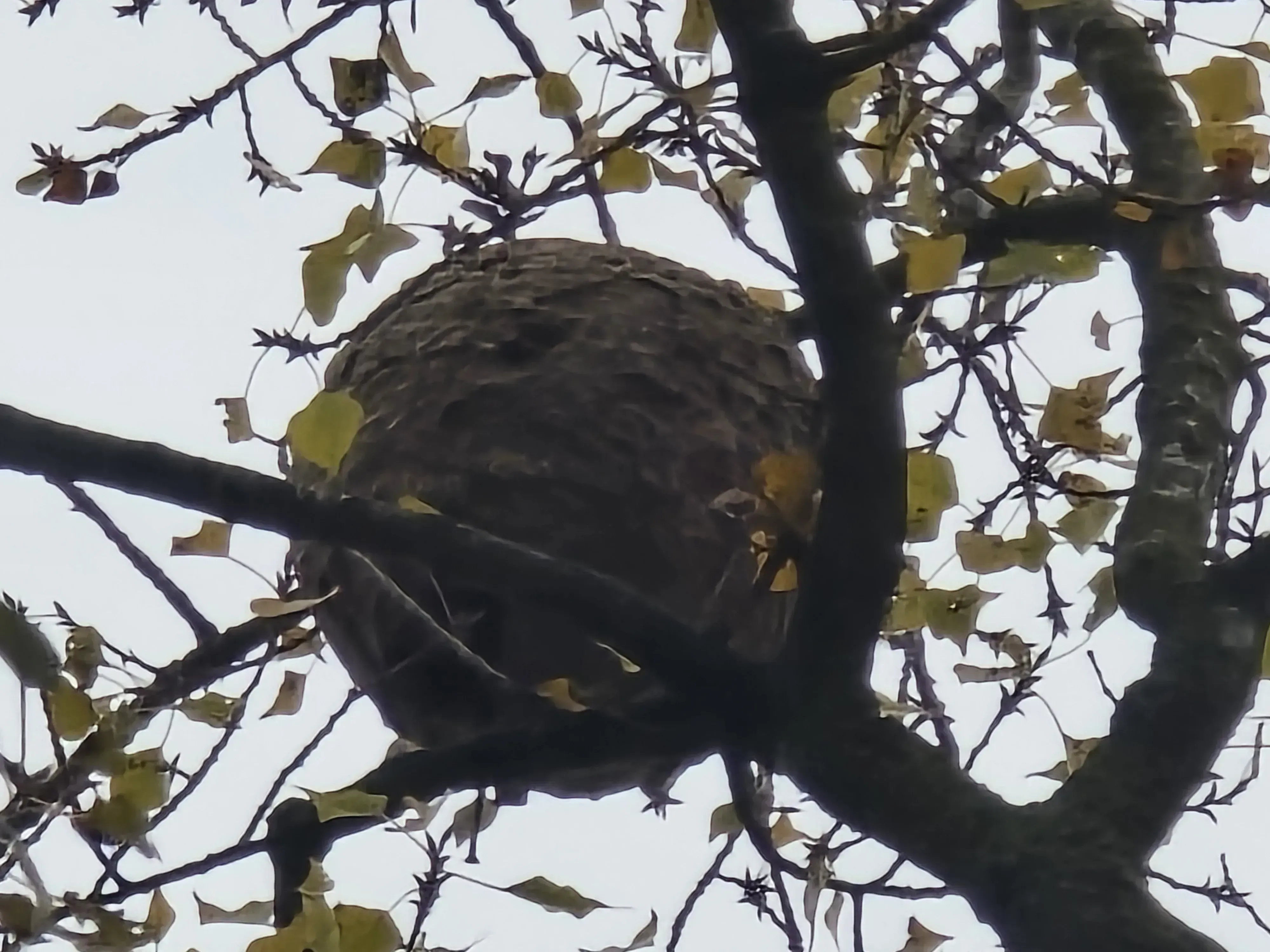 Photo partagée par CarineMRCD