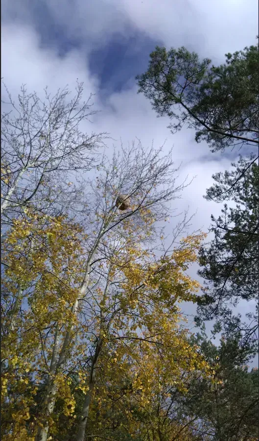 Photo partagée par françois “fanje”