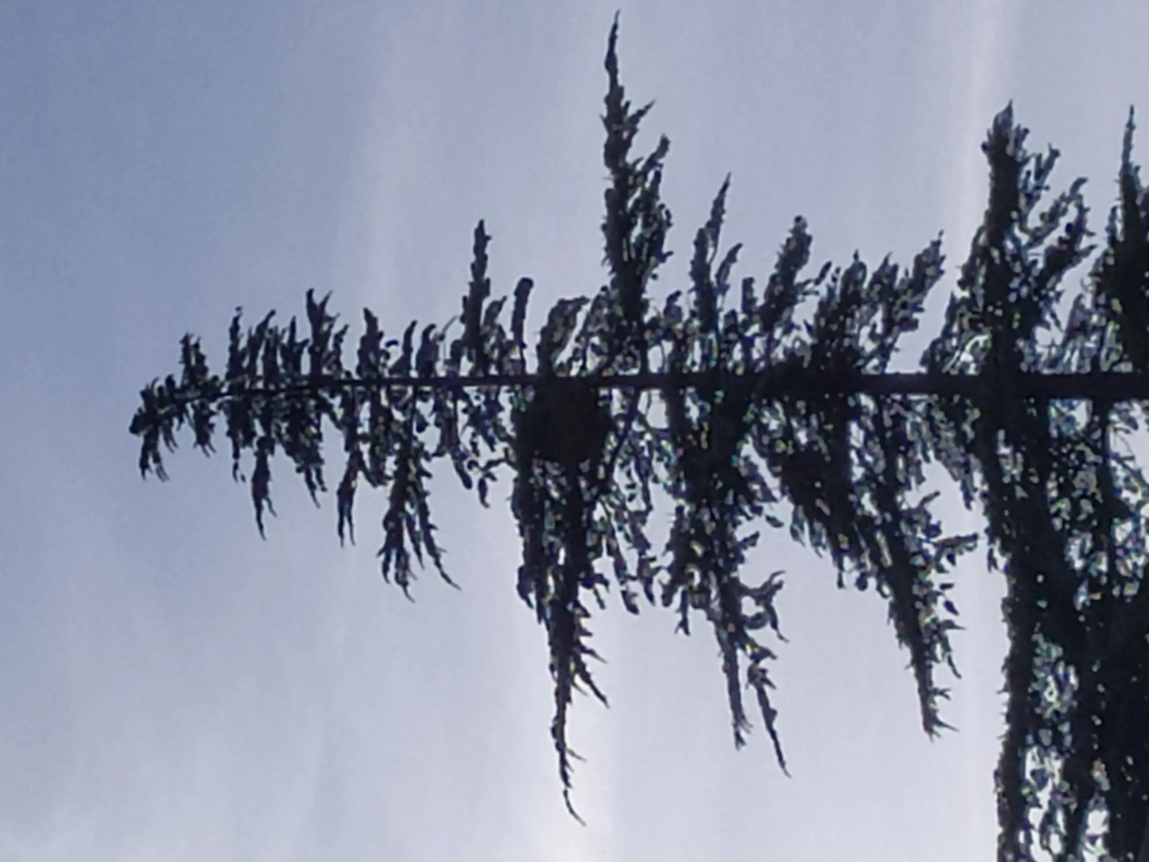 Photo partagée par Jo83