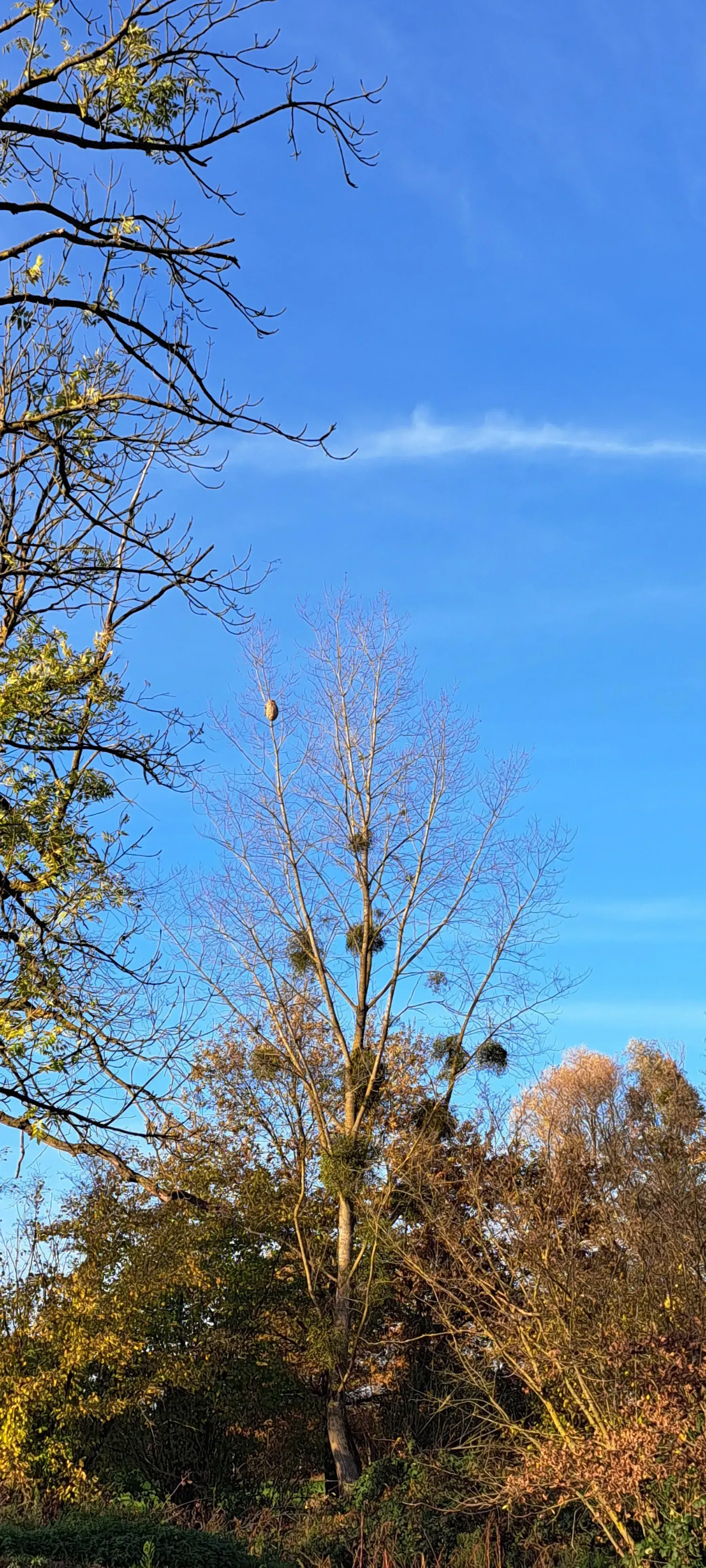 Photo partagée par jdremy