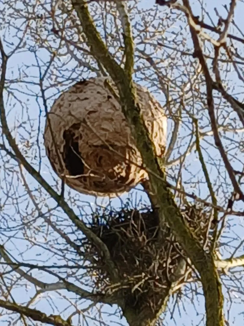 Photo partagée par SERAISSOL