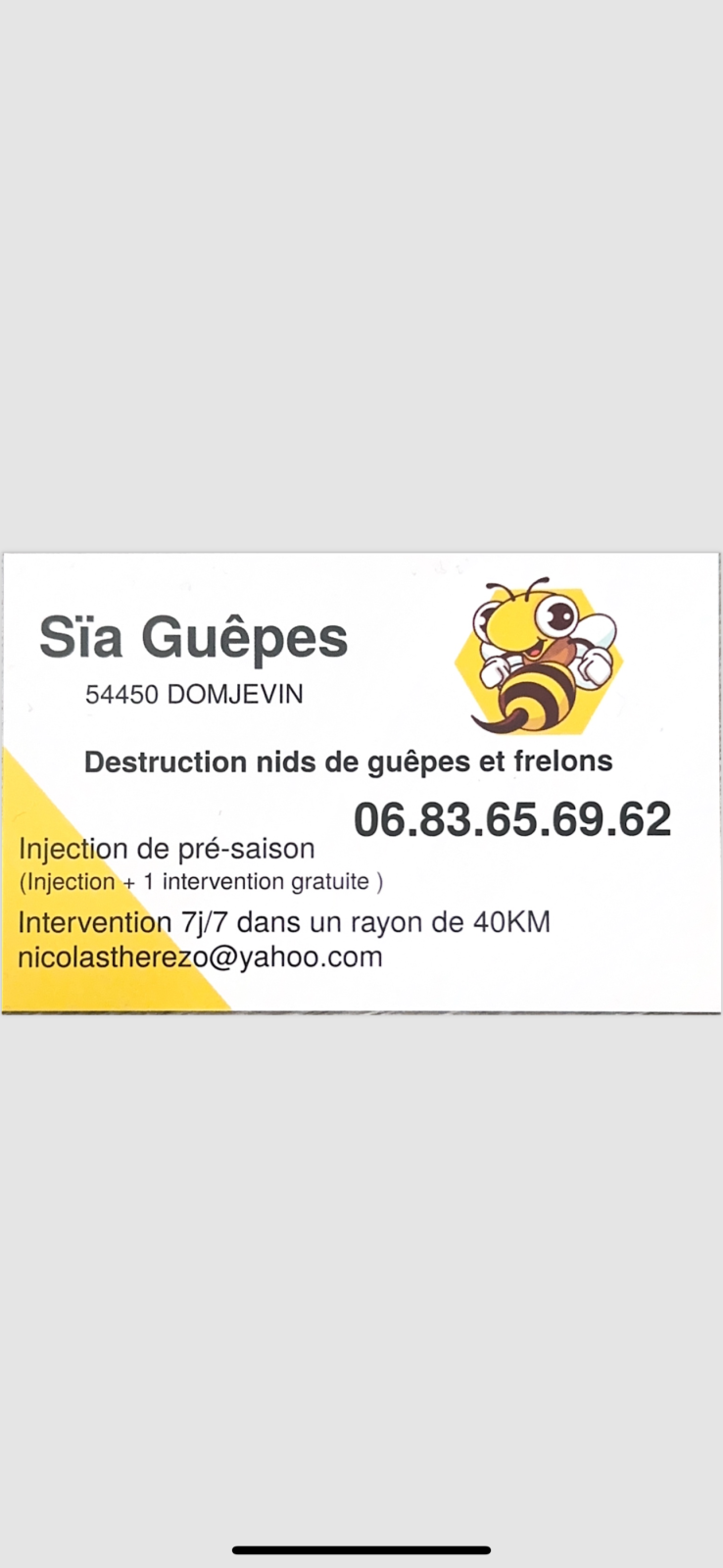 Sïa guêpes — intervention