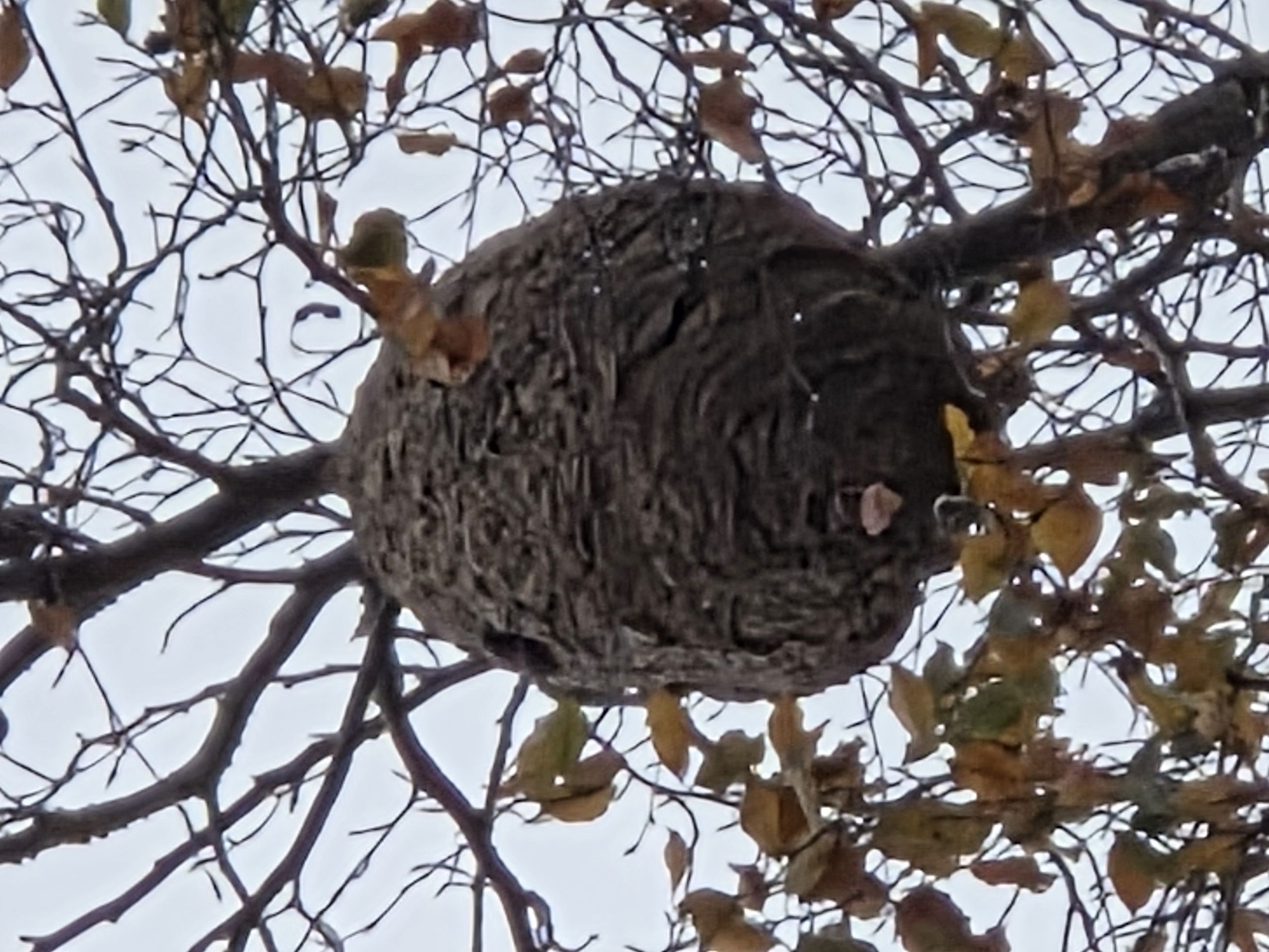 Photo du signalement #102