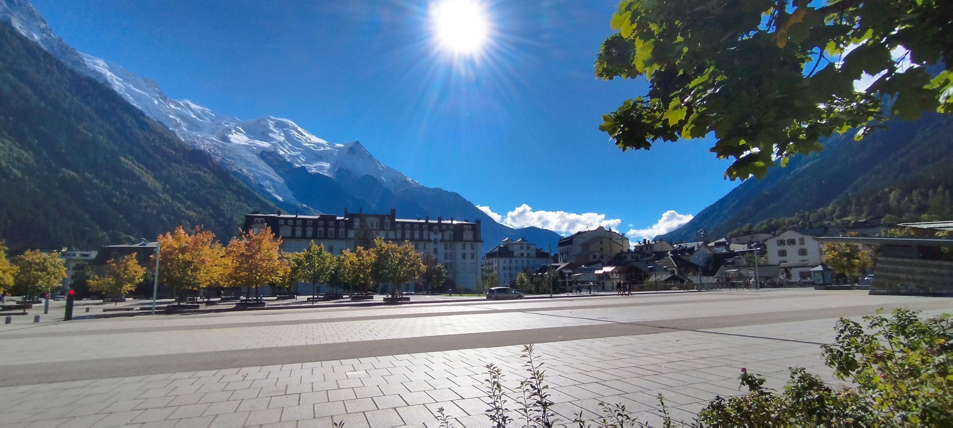 Photo du nid de frelon asiatique signalé à Chamonix-Mont-Blanc