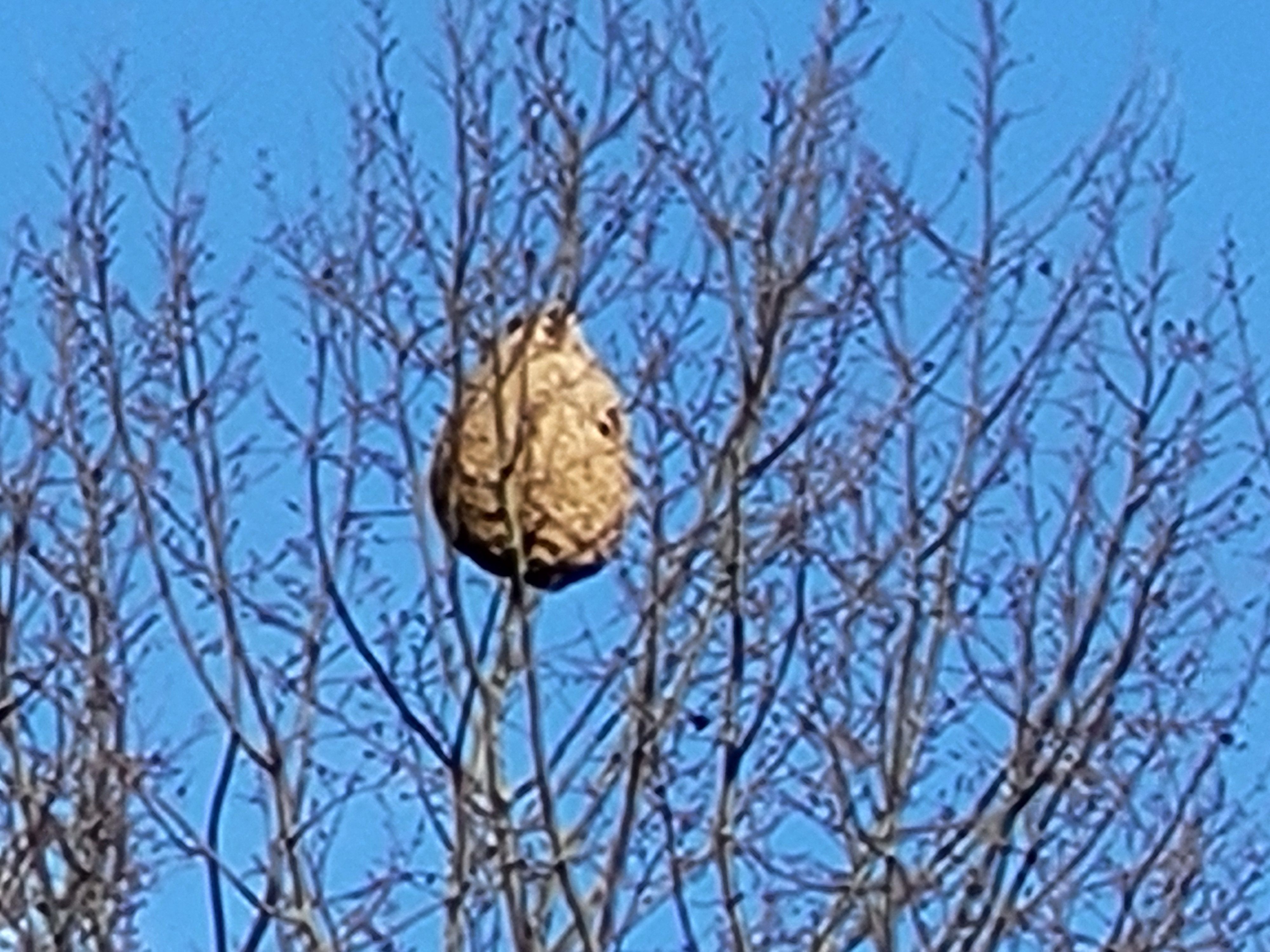 Photo du autre signalé à Marquette-lez-Lille