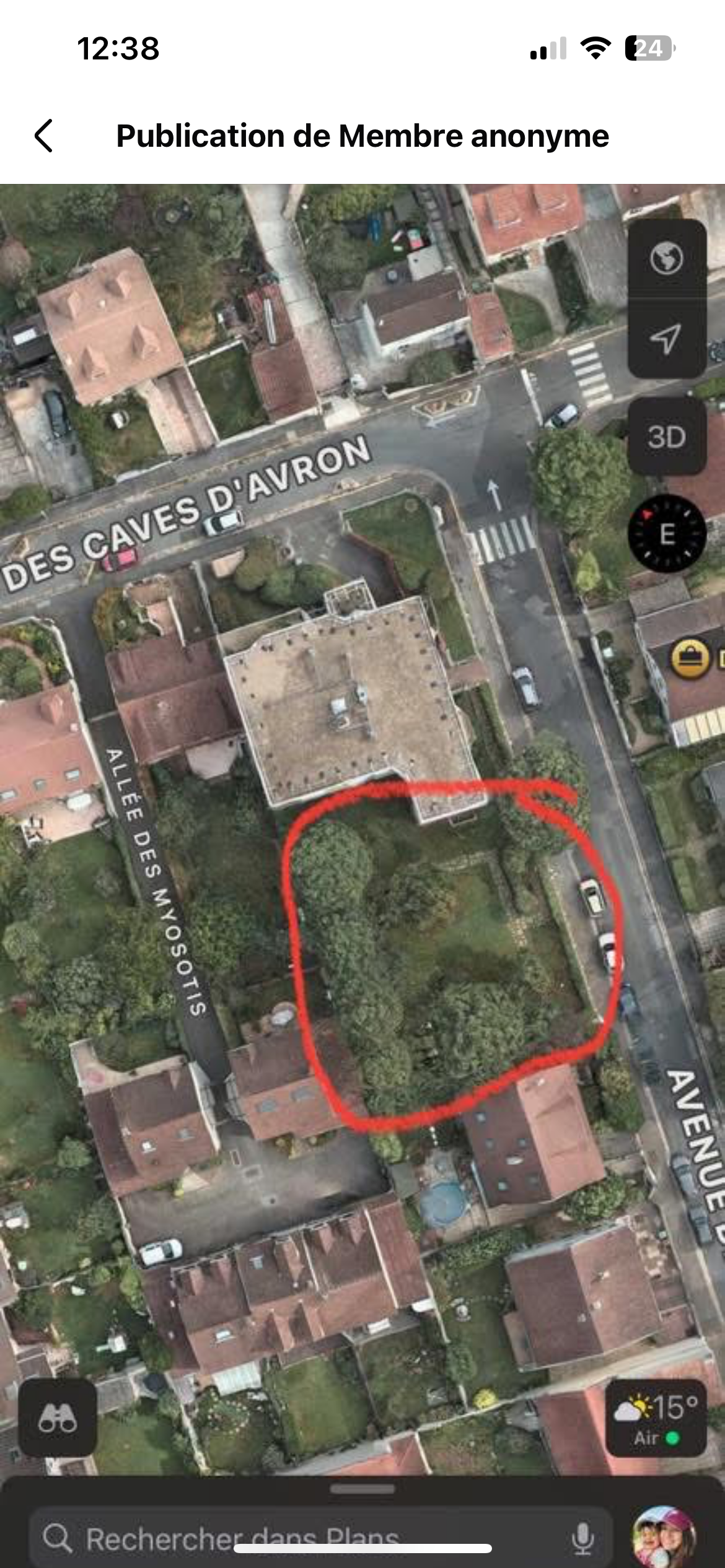 Photo du nid de frelon asiatique signalé à Neuilly-Plaisance