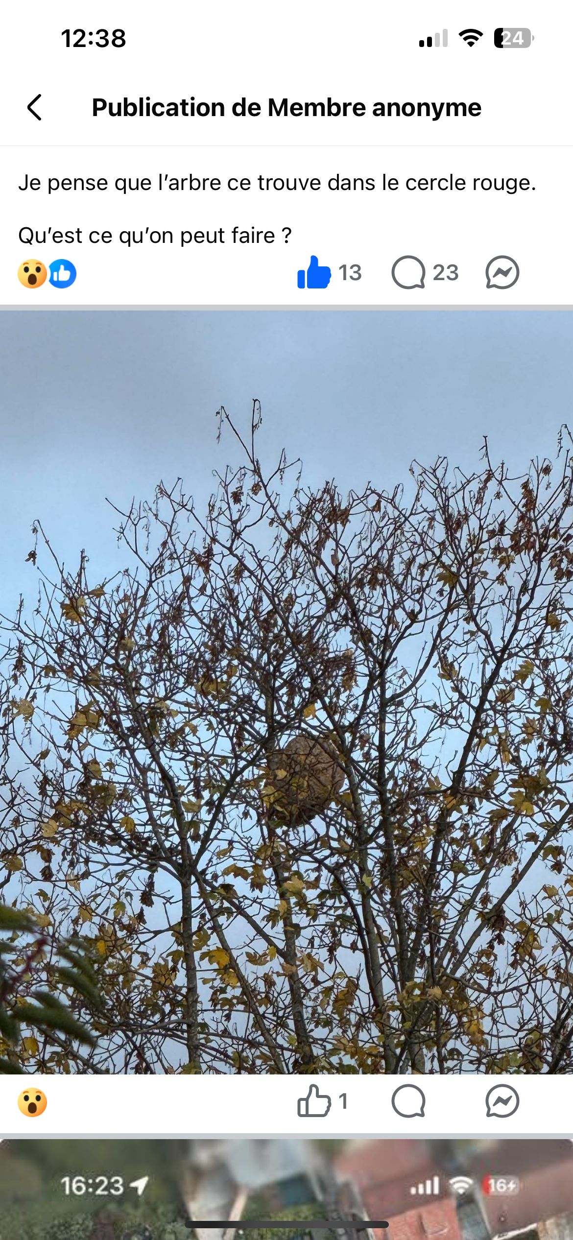 Photo du signalement #169