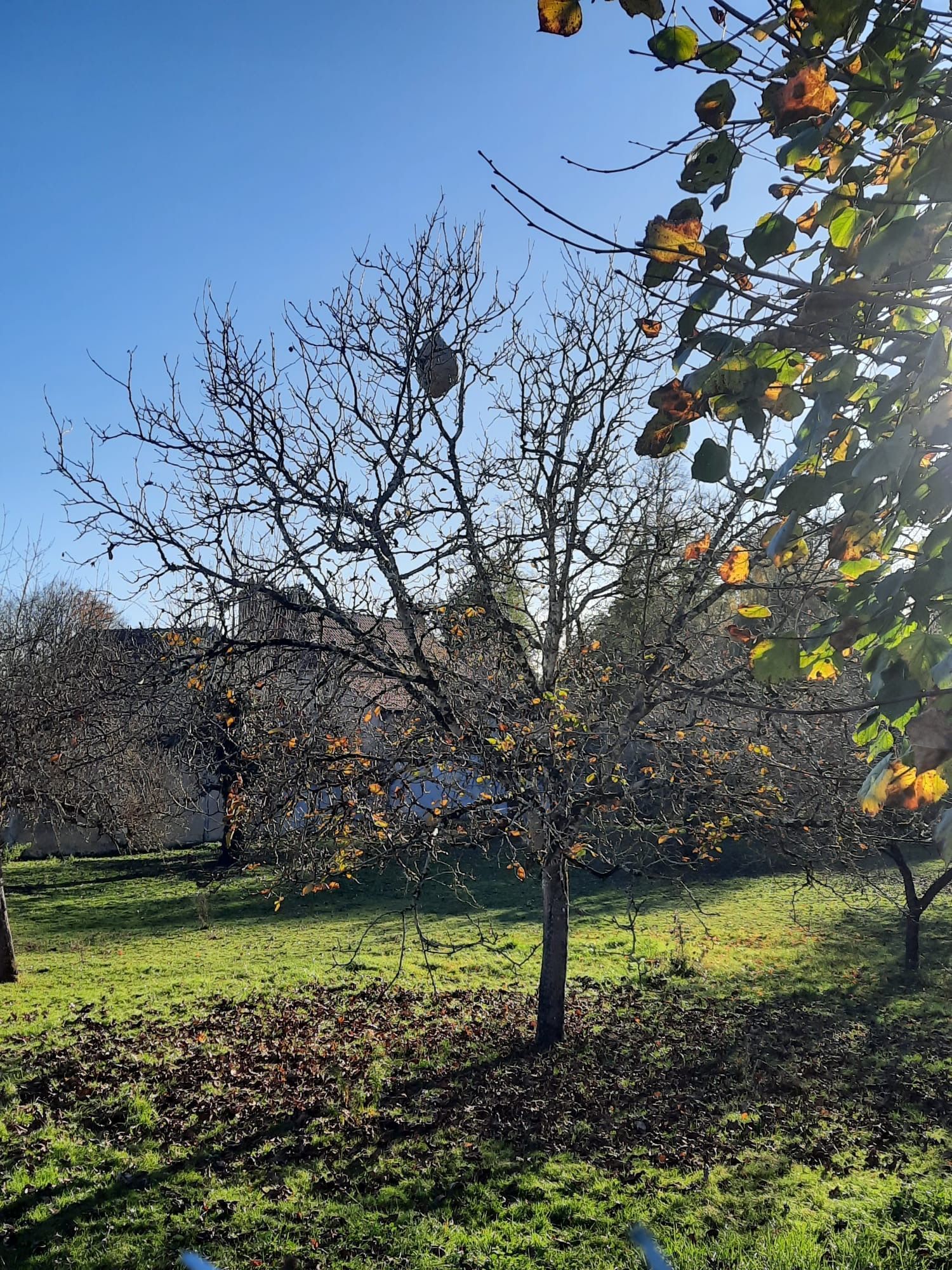 Photo du signalement #183