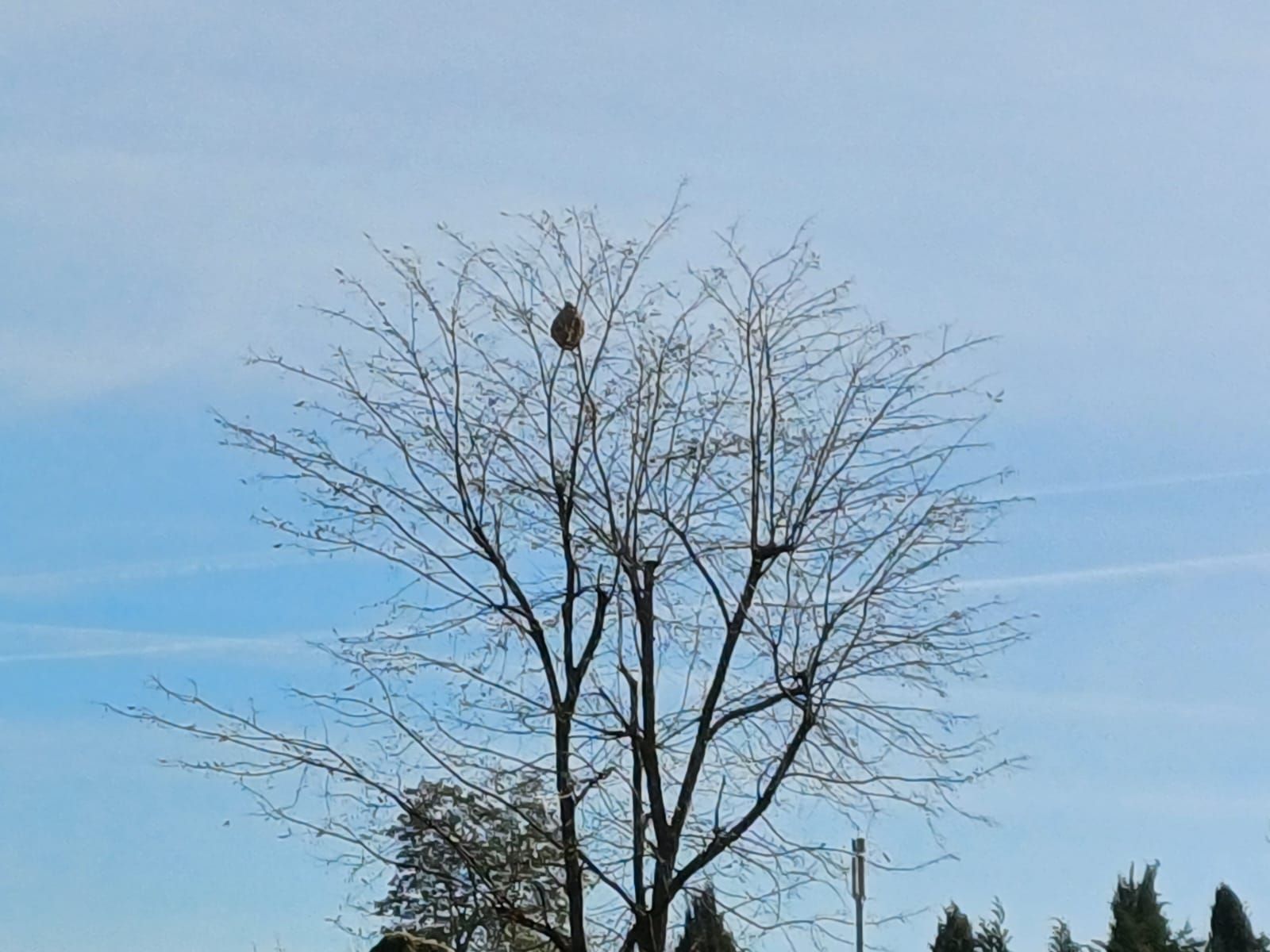 Photo du signalement #212