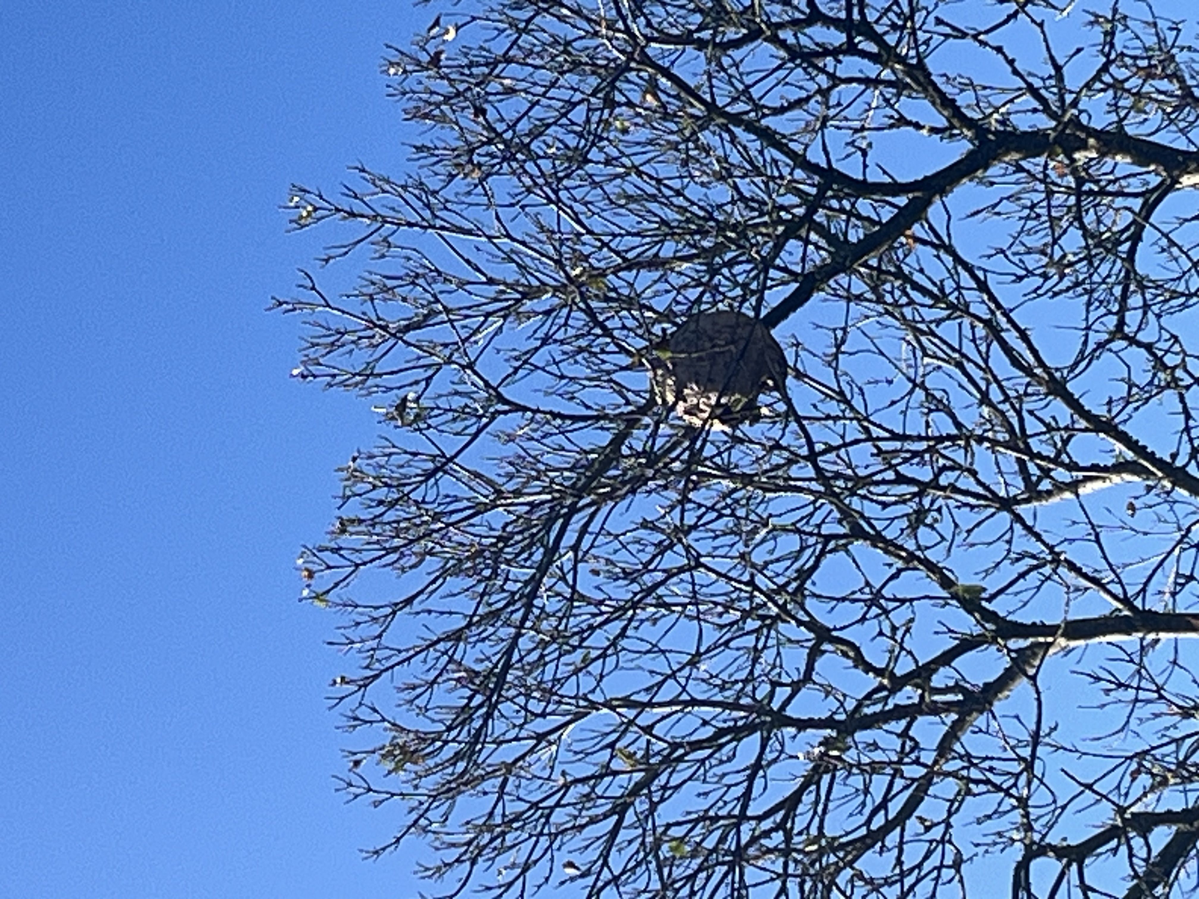 Photo du signalement #224