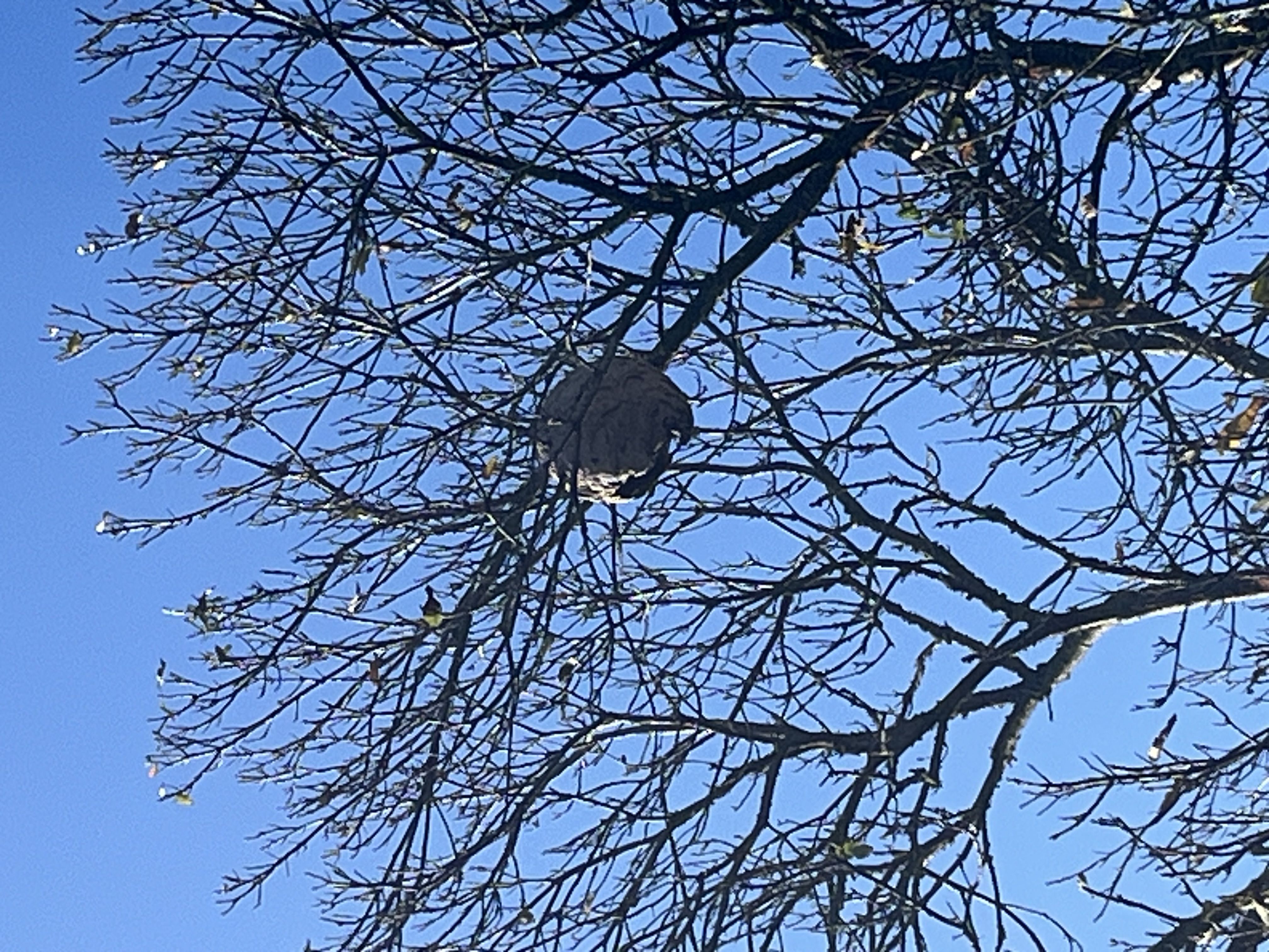 Photo du signalement #224