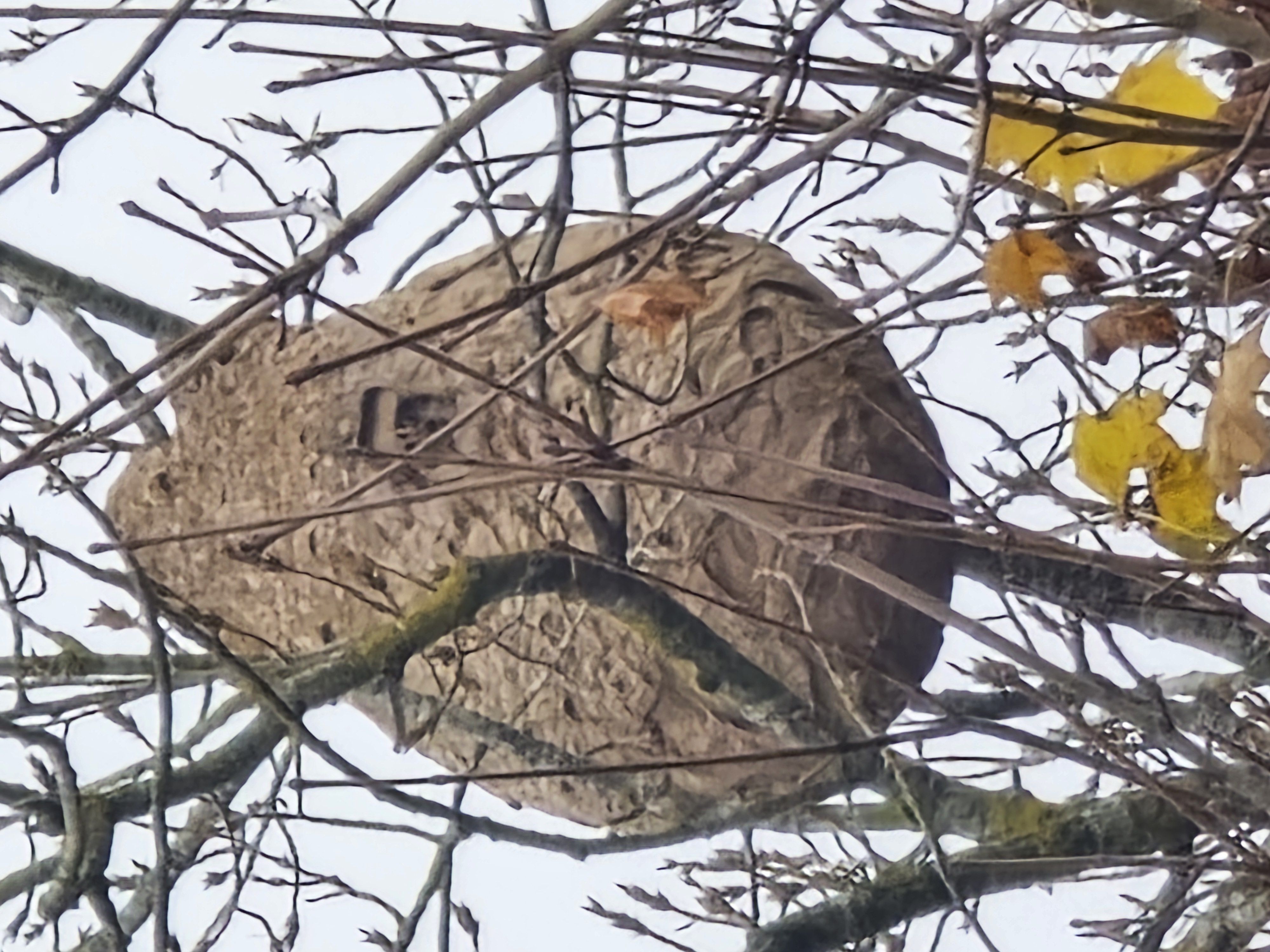 Photo du signalement #244