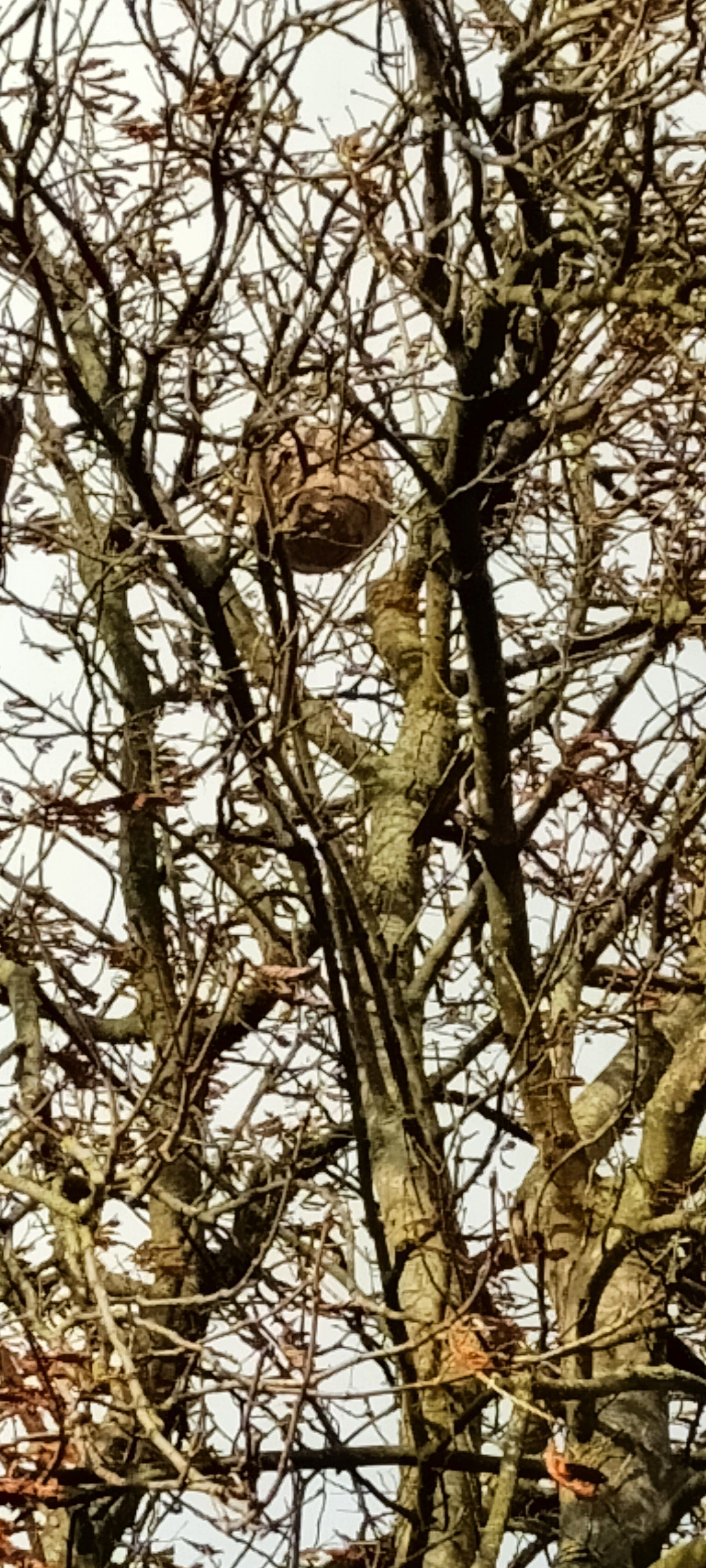 Photo du signalement #276