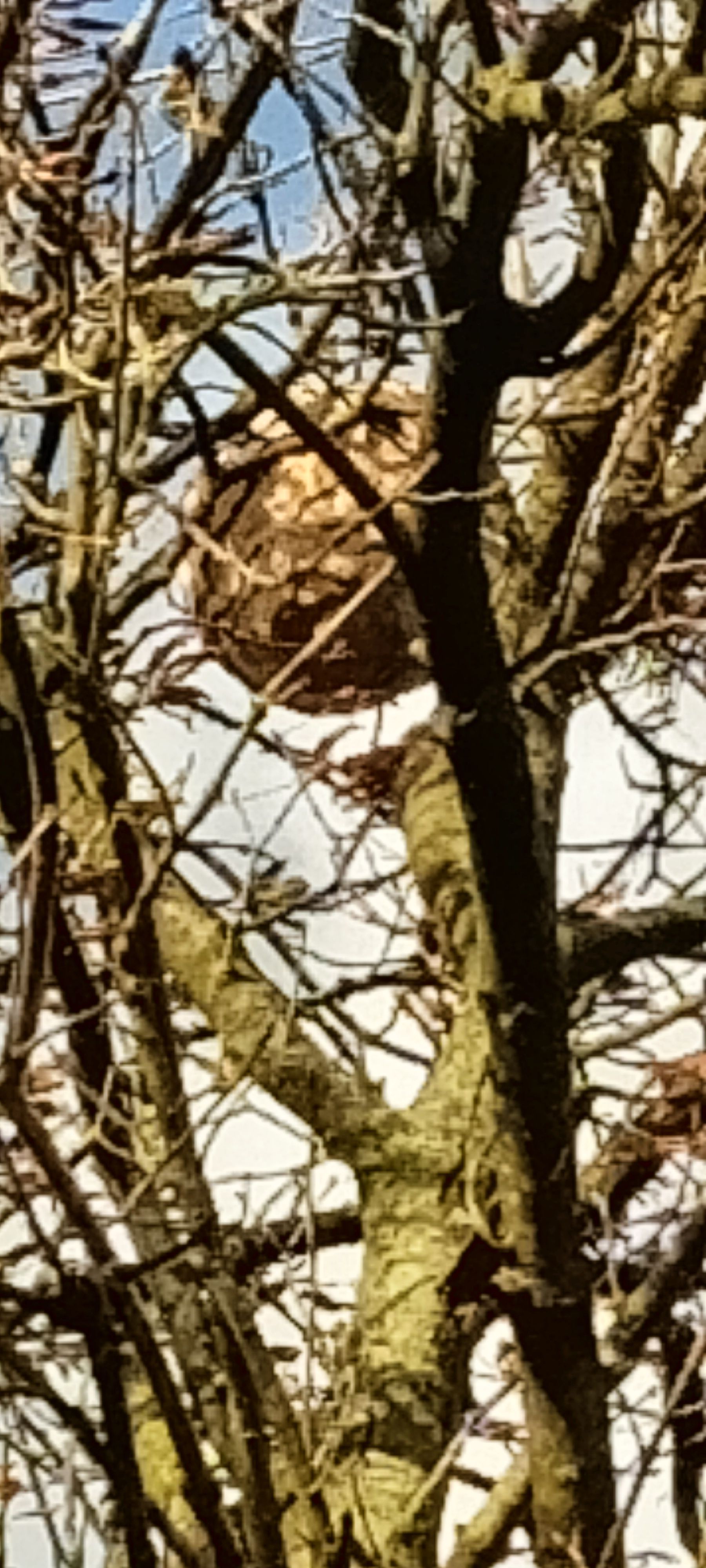 Photo du signalement #276