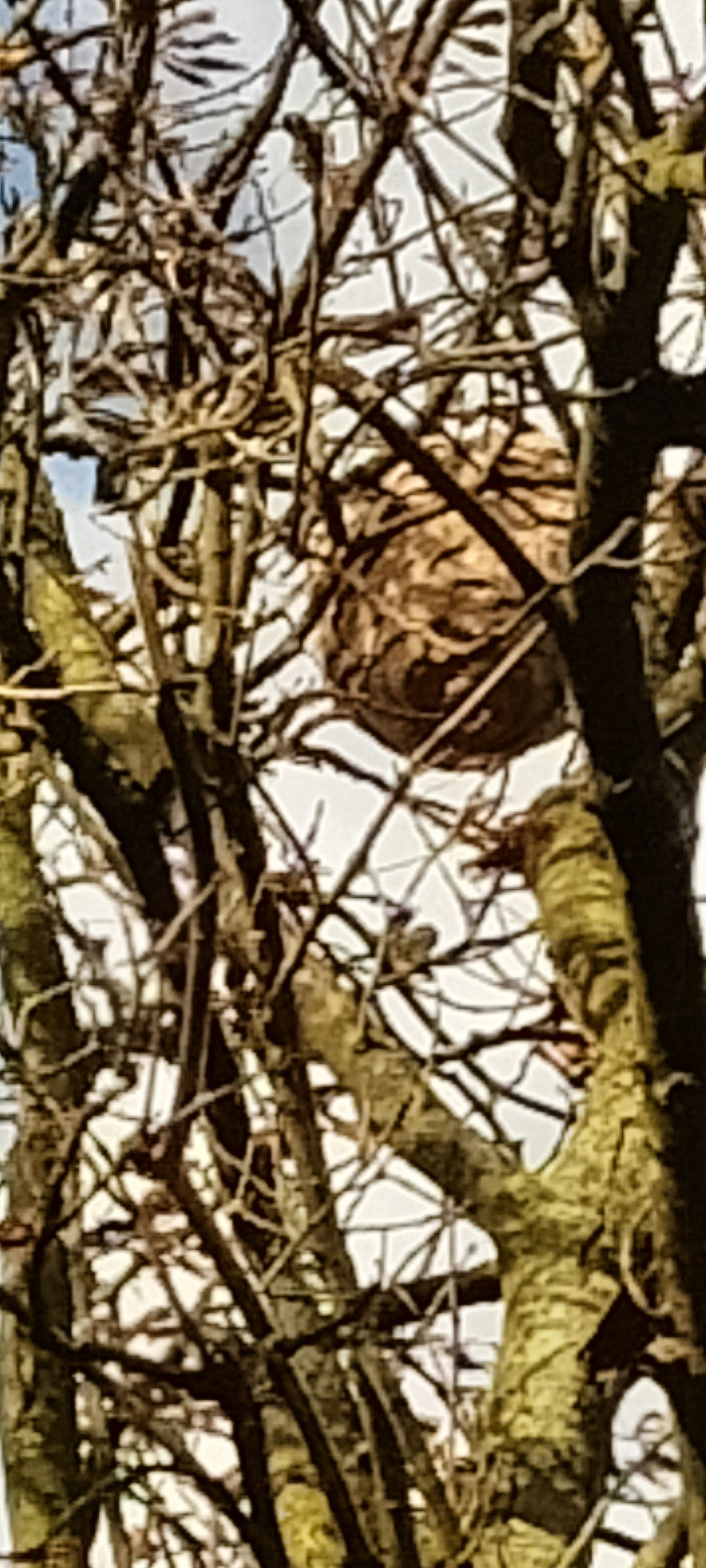 Photo du signalement #276