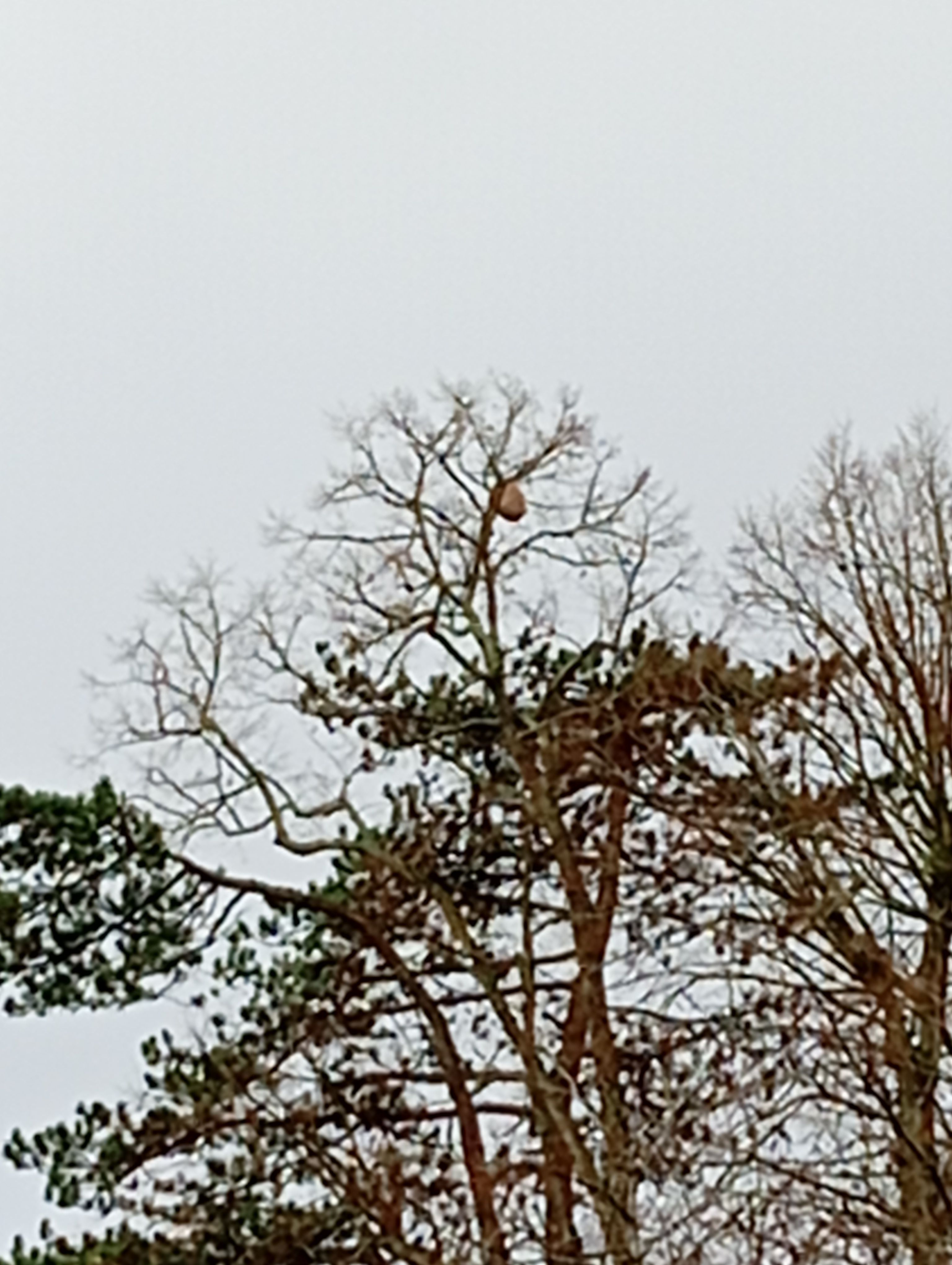 Photo du signalement #318