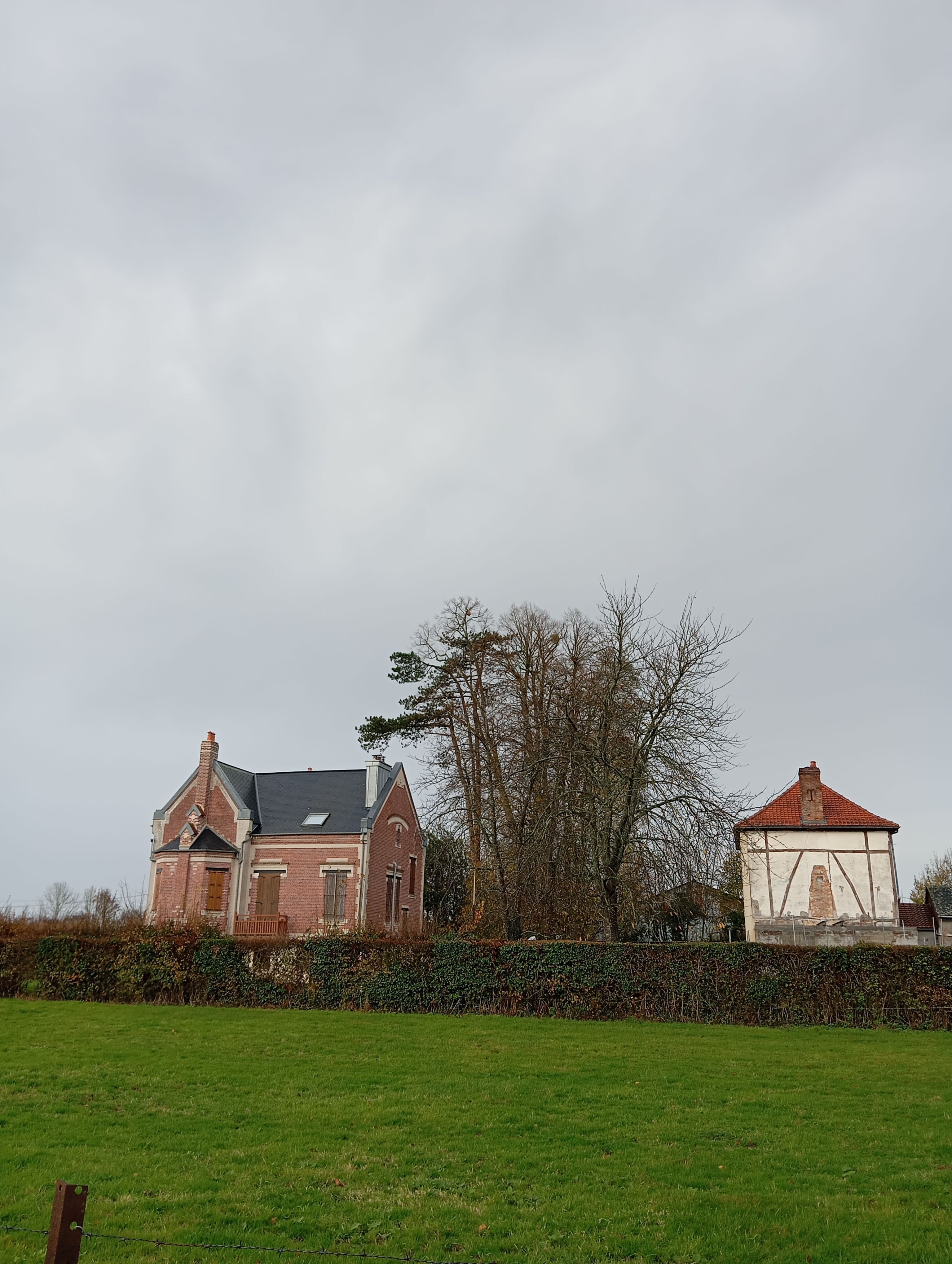 Photo du nid de frelon asiatique signalé à Saint-Germain-sur-Eaulne