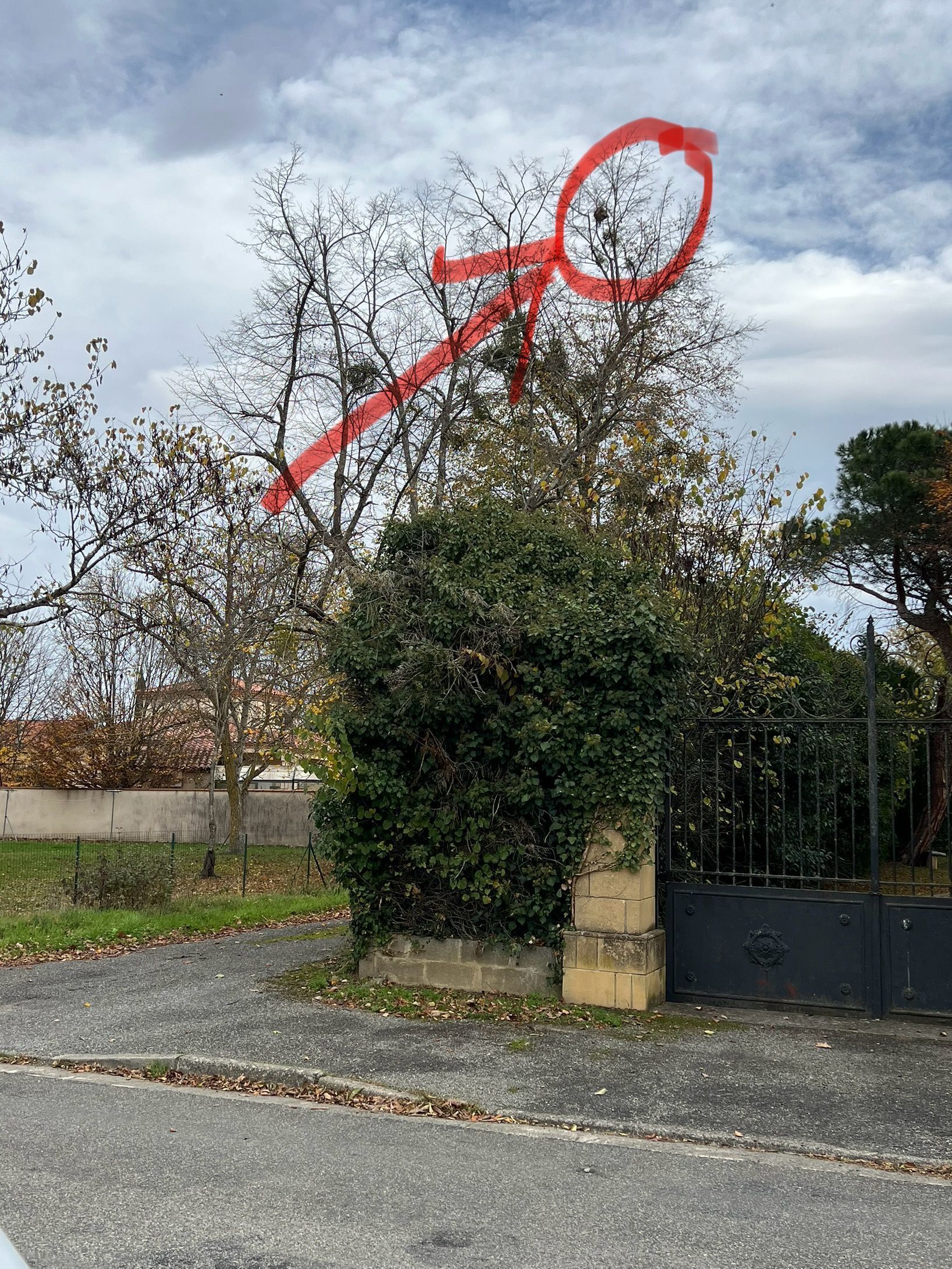 Photo du signalement #345