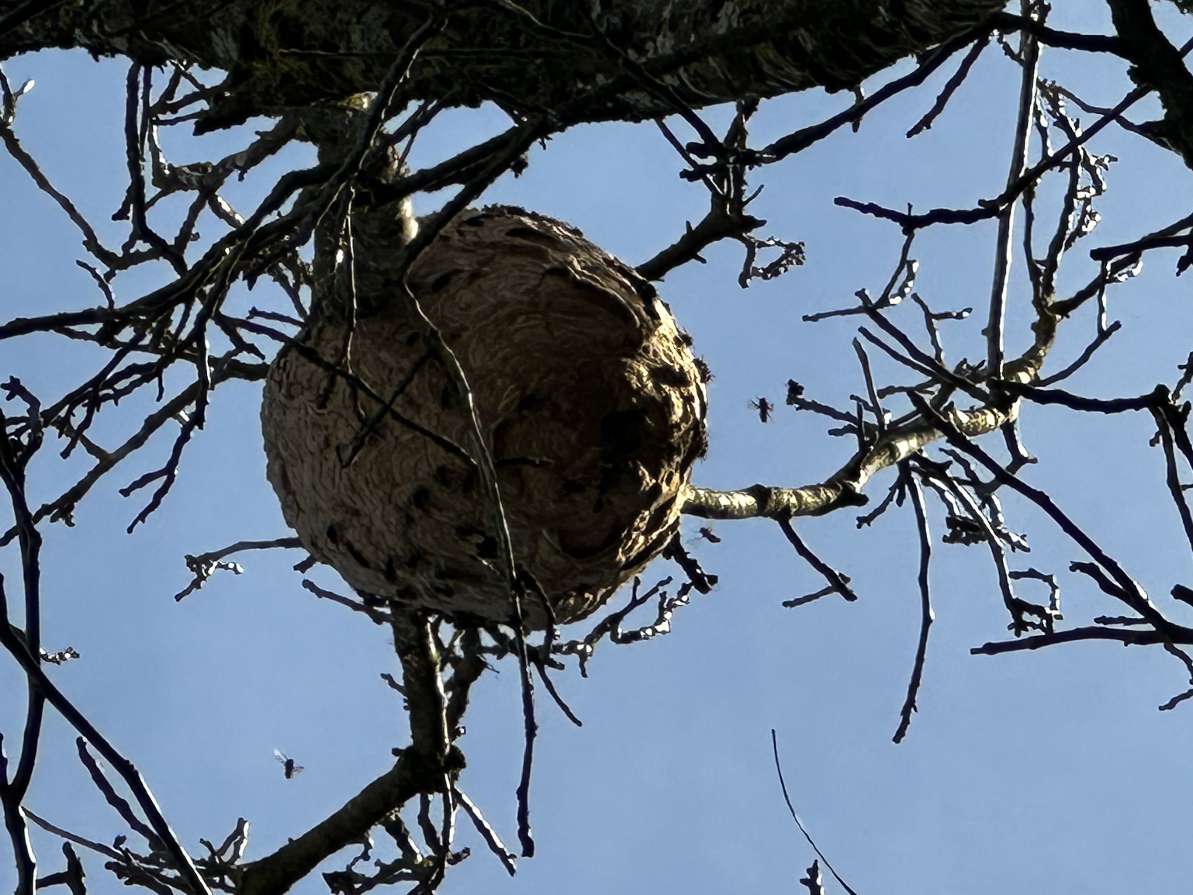 Photo du signalement #372