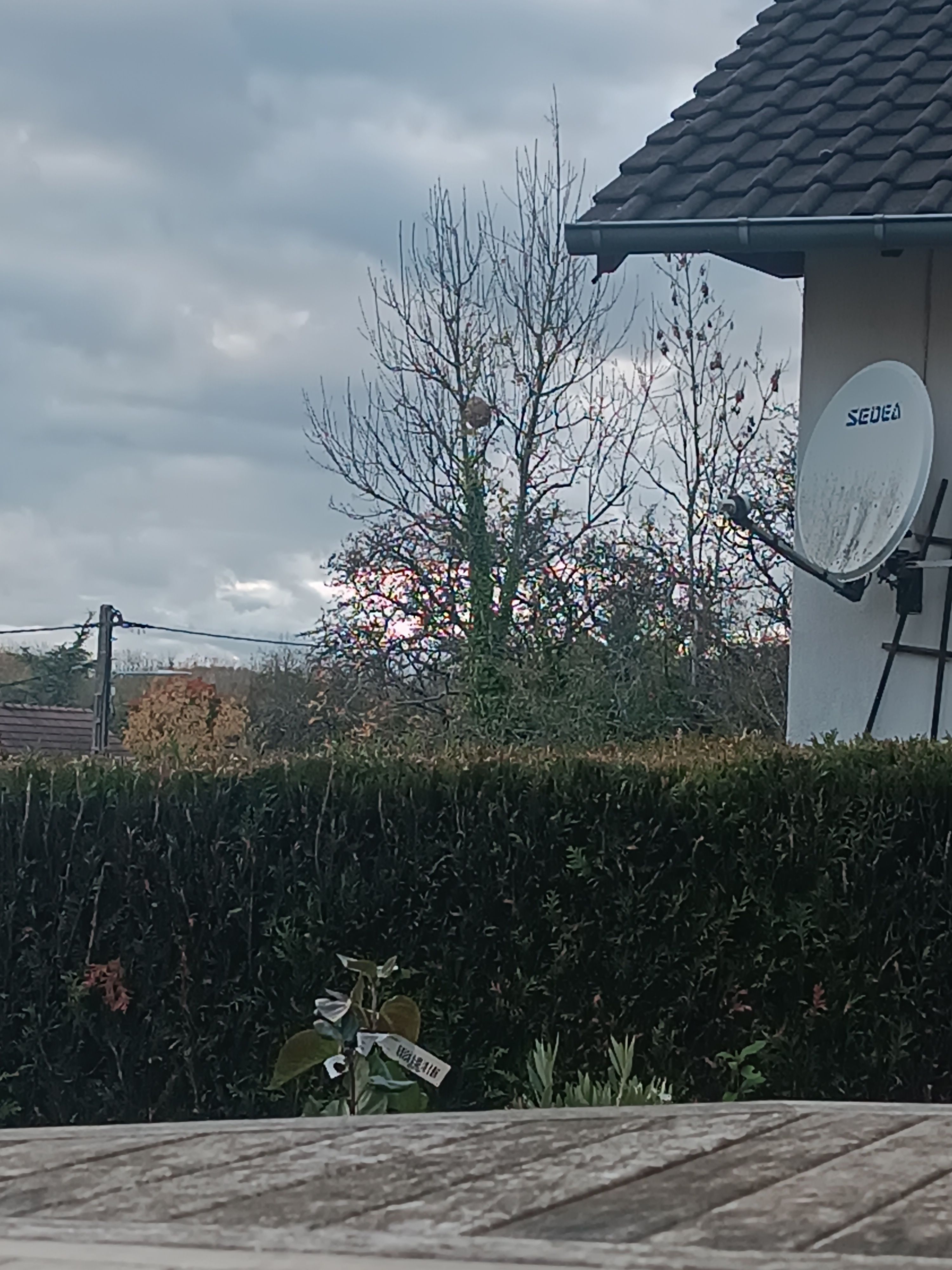 Photo du signalement #373