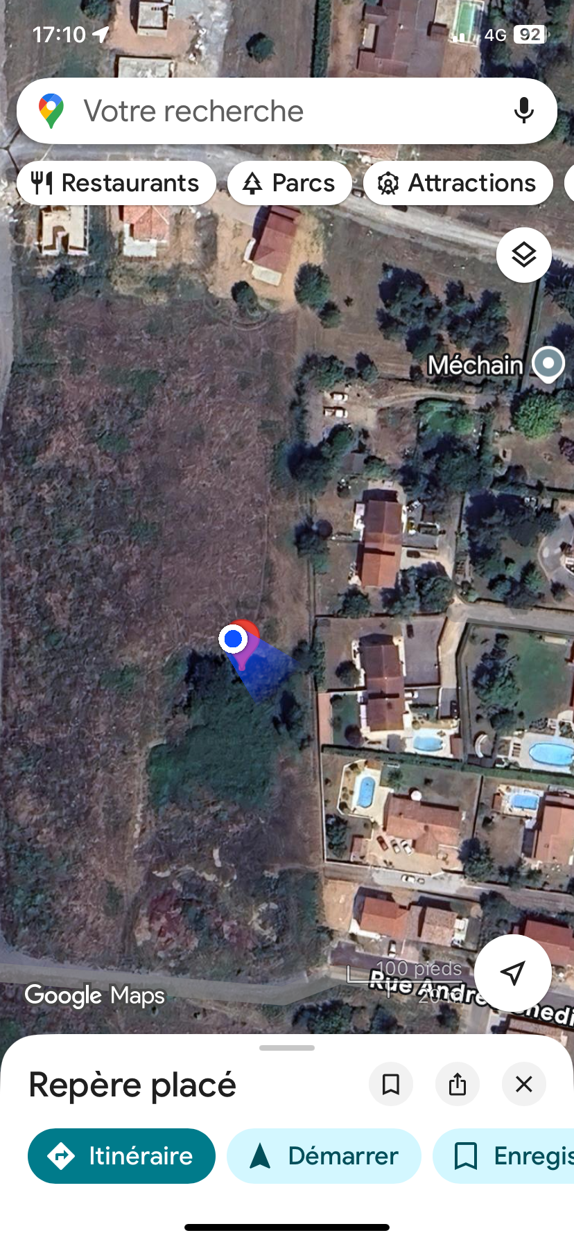 Photo du nid de frelon asiatique signalé à Saint-Georges-de-Reneins