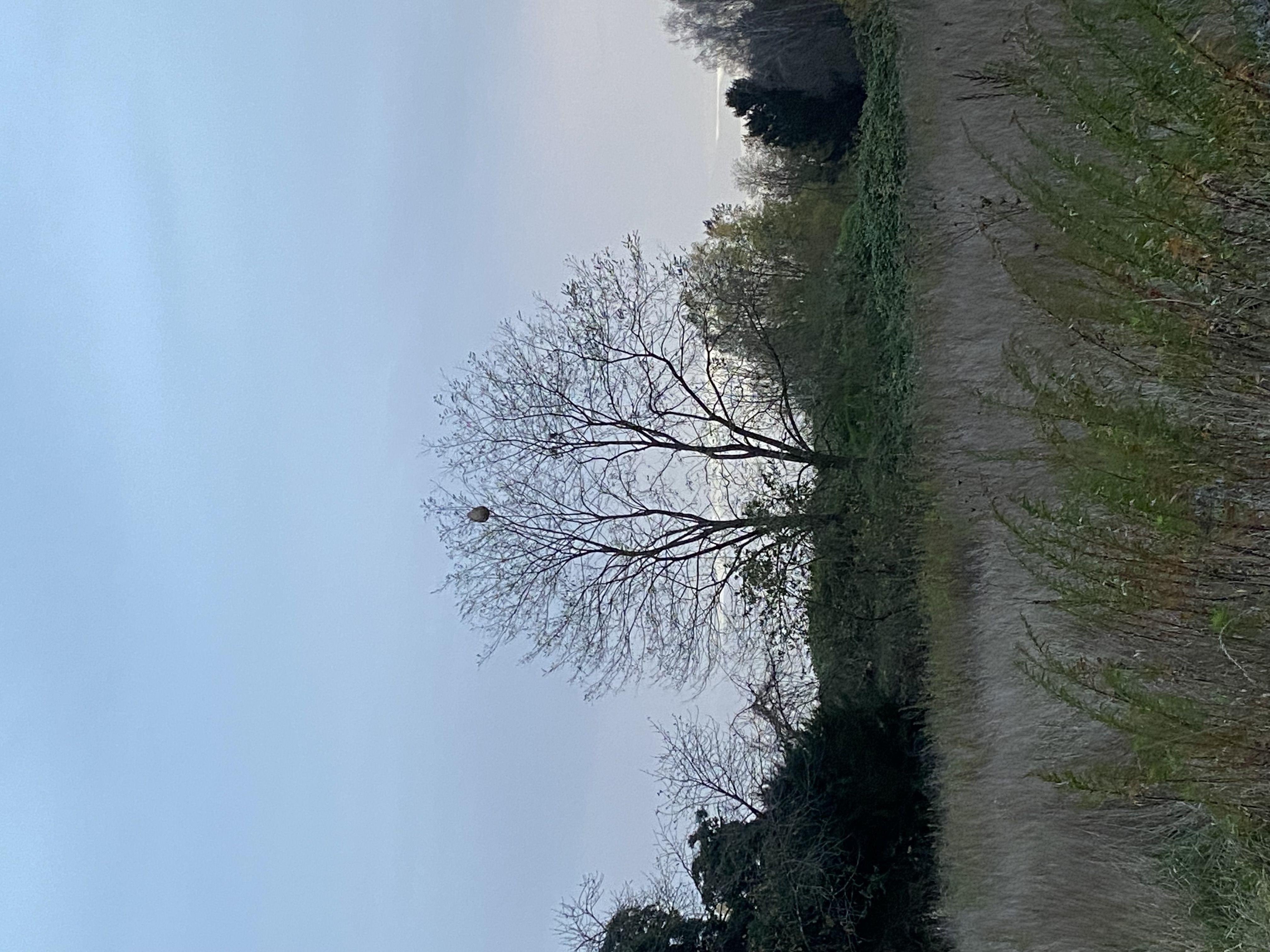 Photo du signalement #384