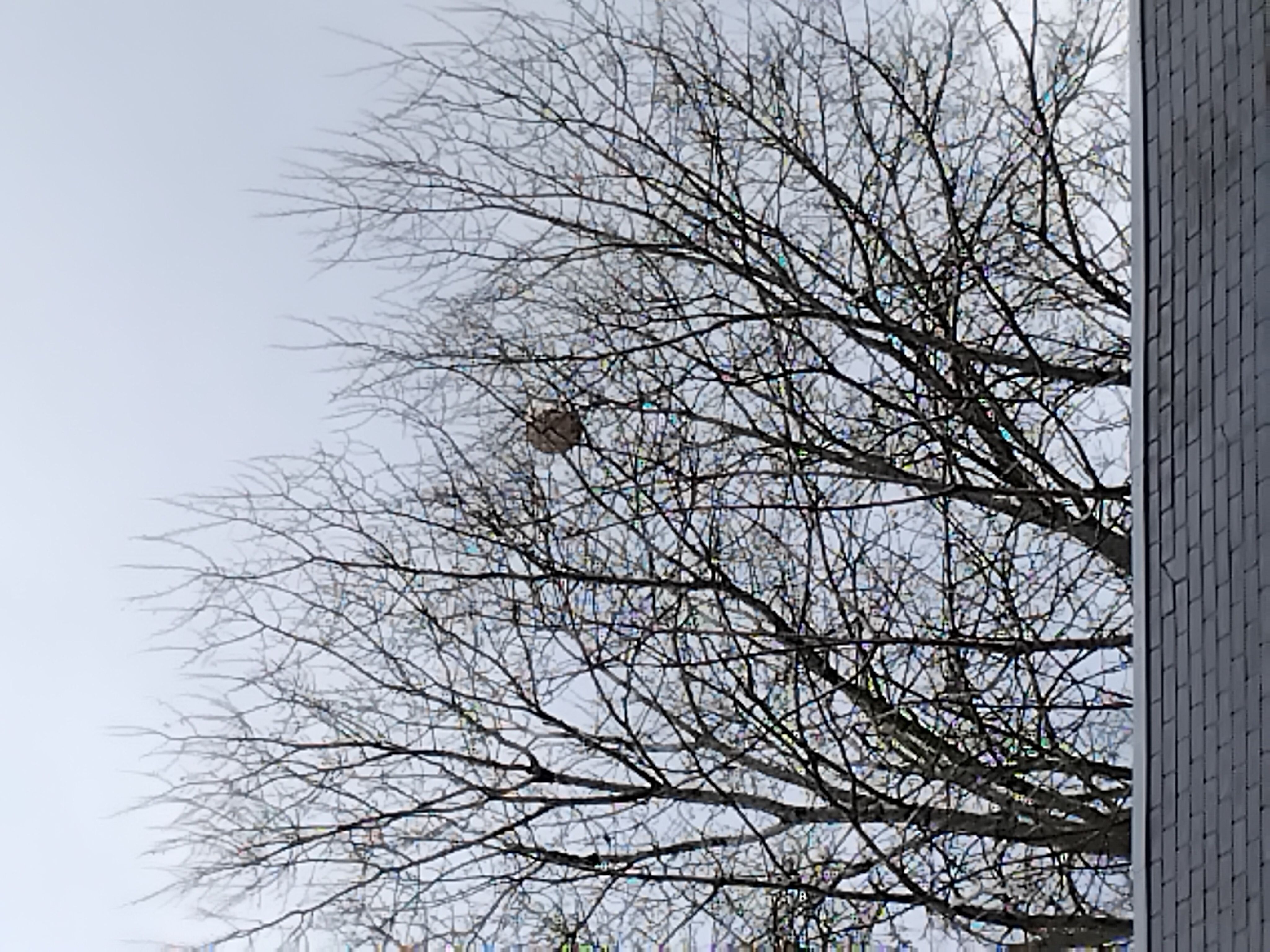 Photo du signalement #389