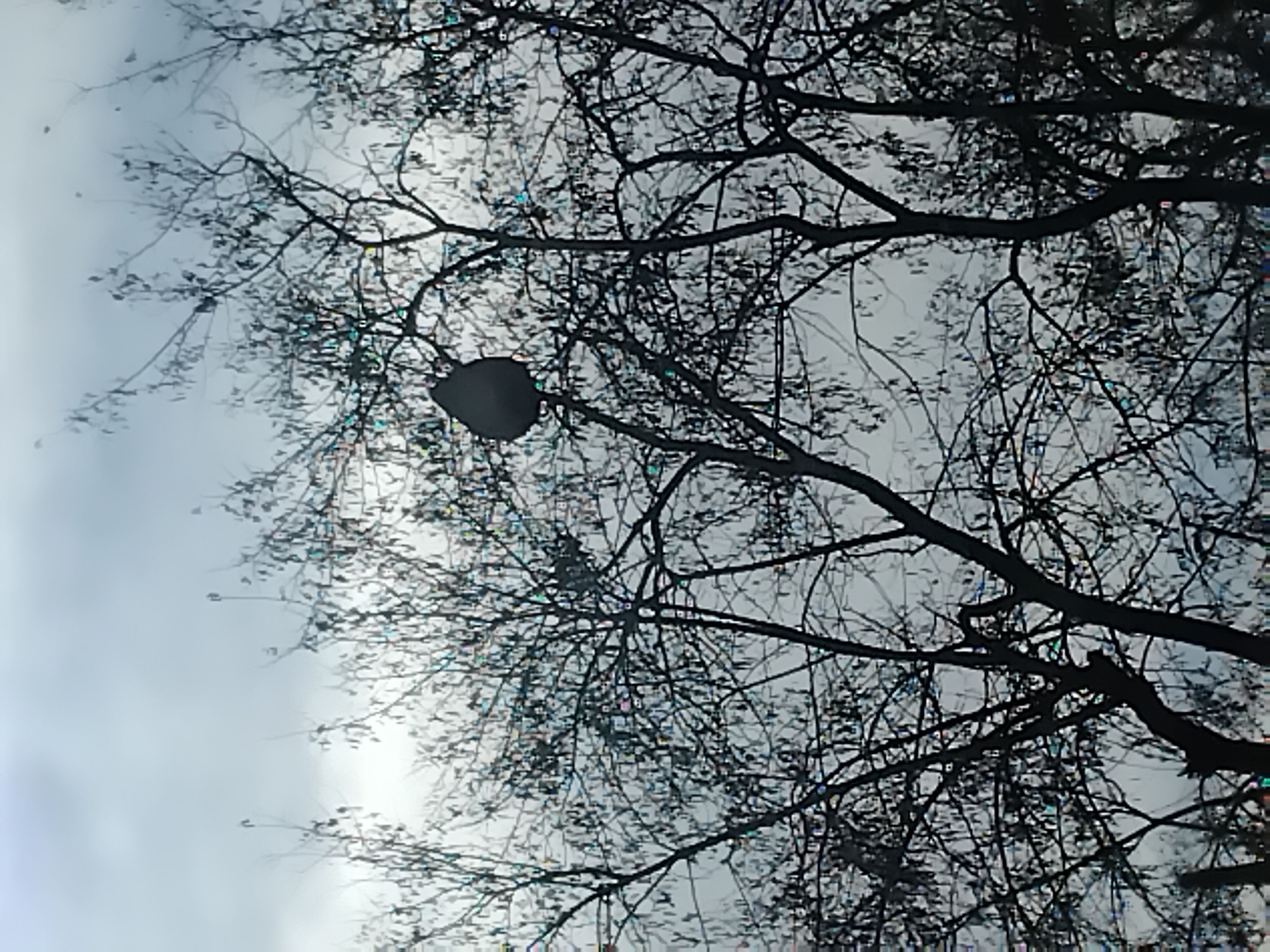 Photo du signalement #389