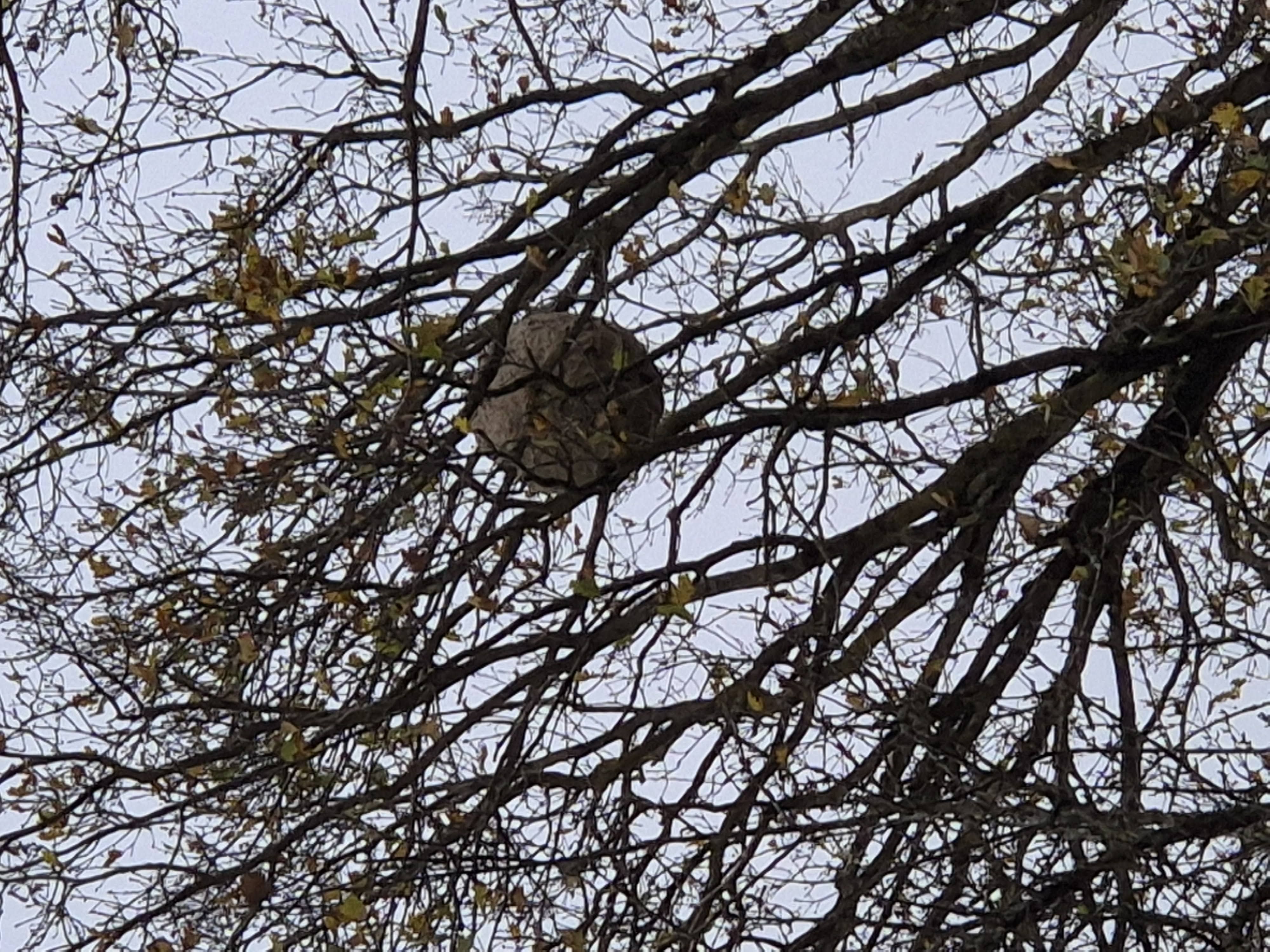 Photo du signalement #396