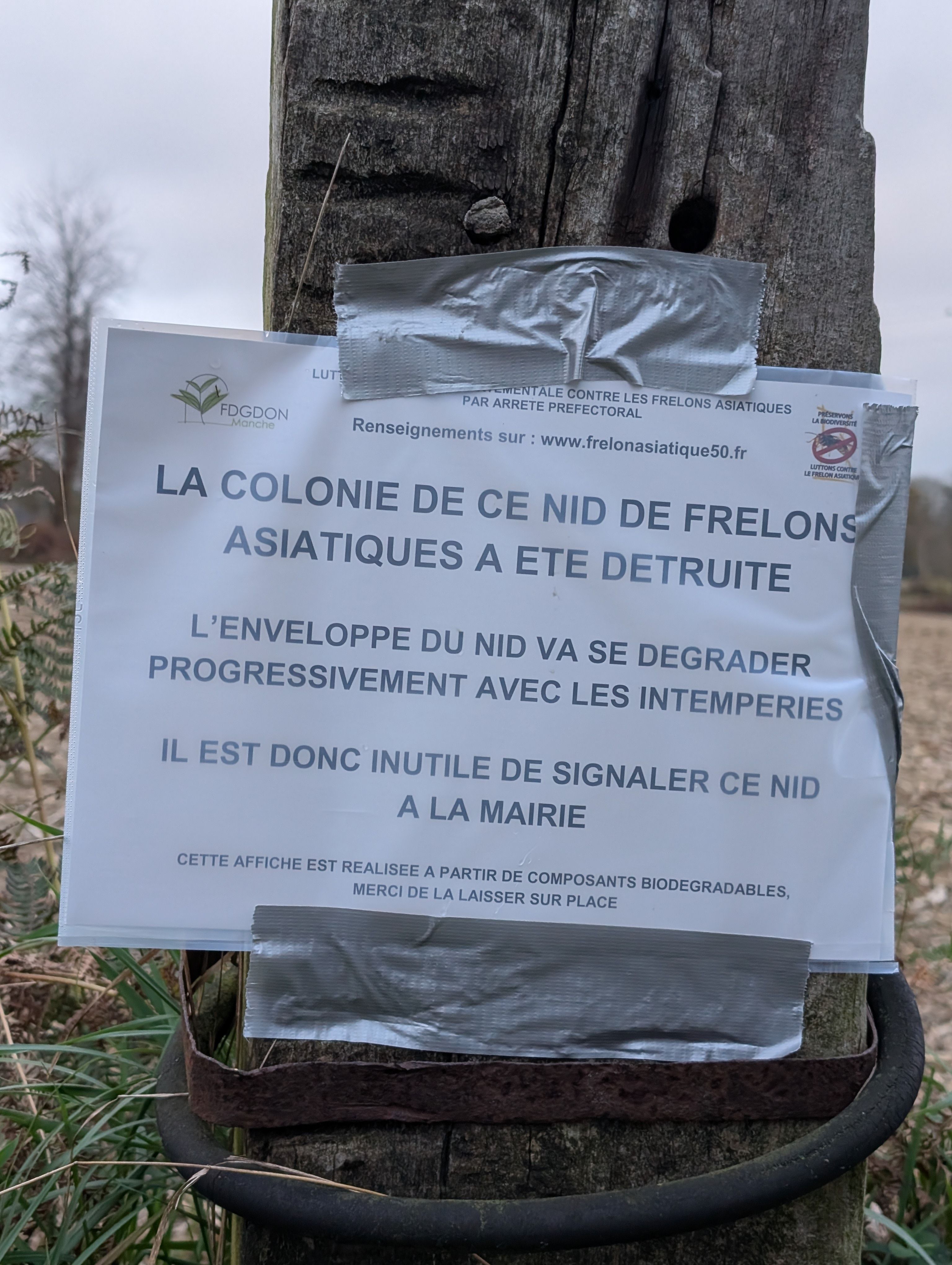 Photo du signalement #421