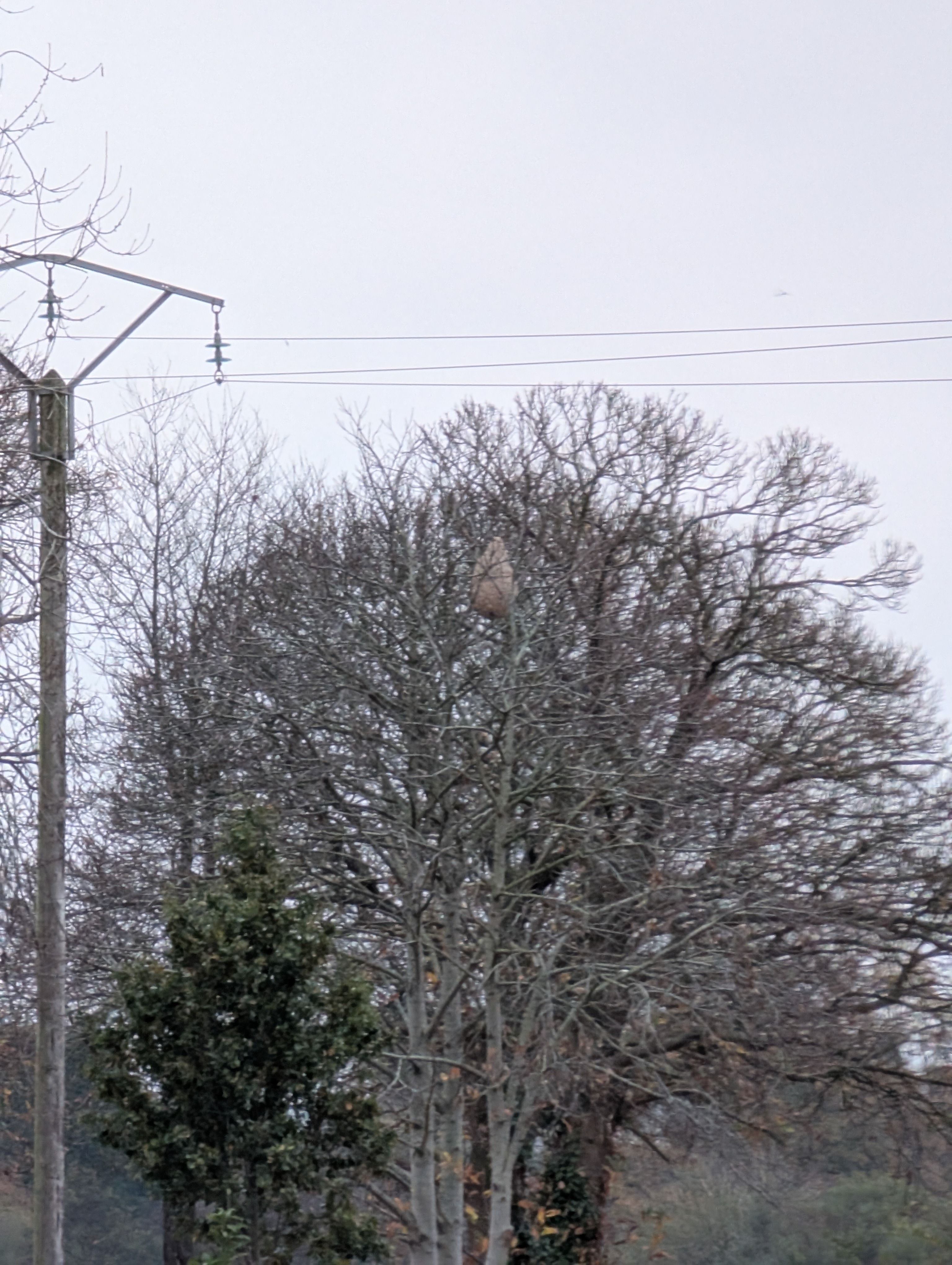 Photo du signalement #421