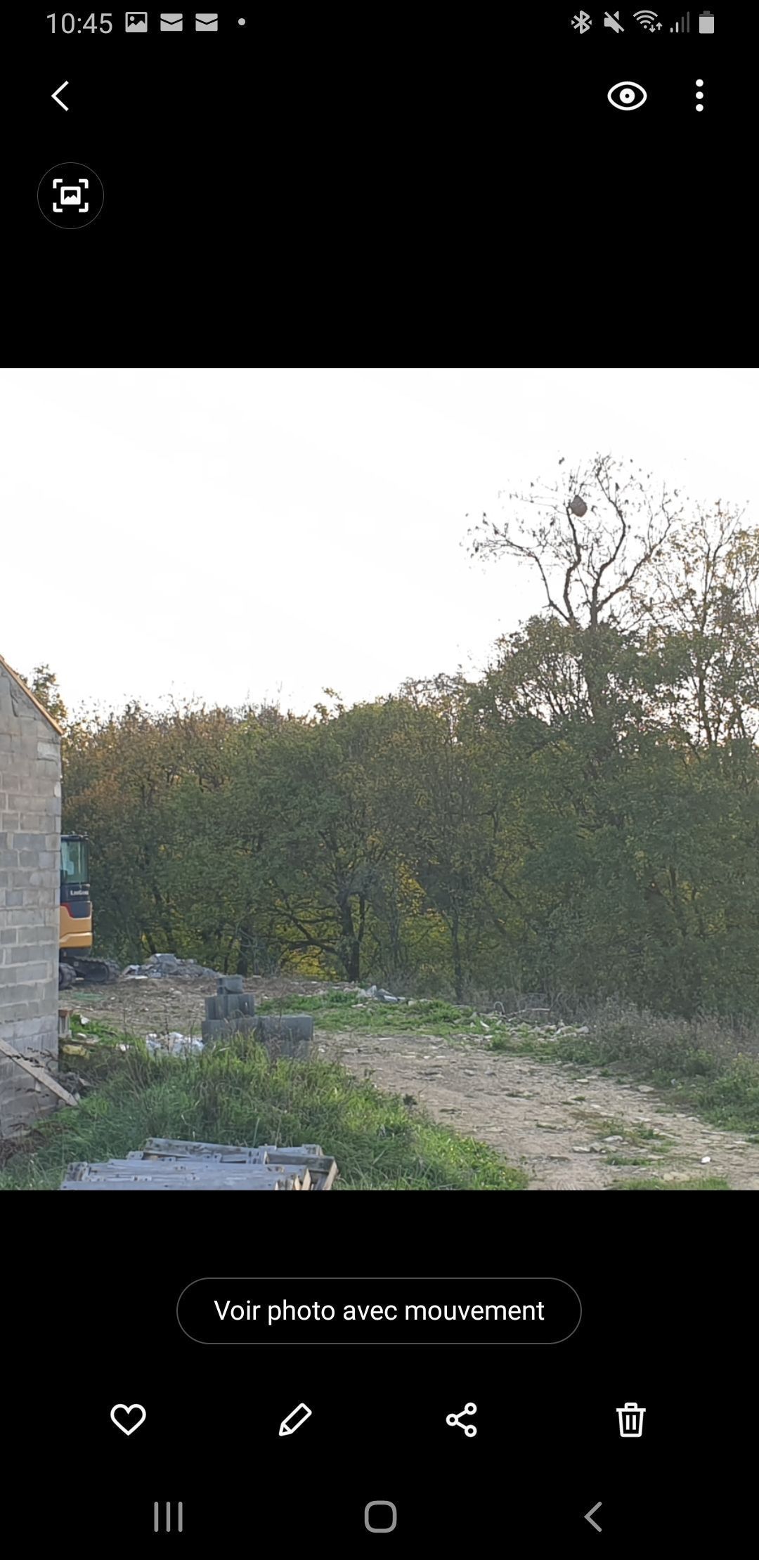 Photo du nid de frelon asiatique signalé à Beauvoir-sur-Niort