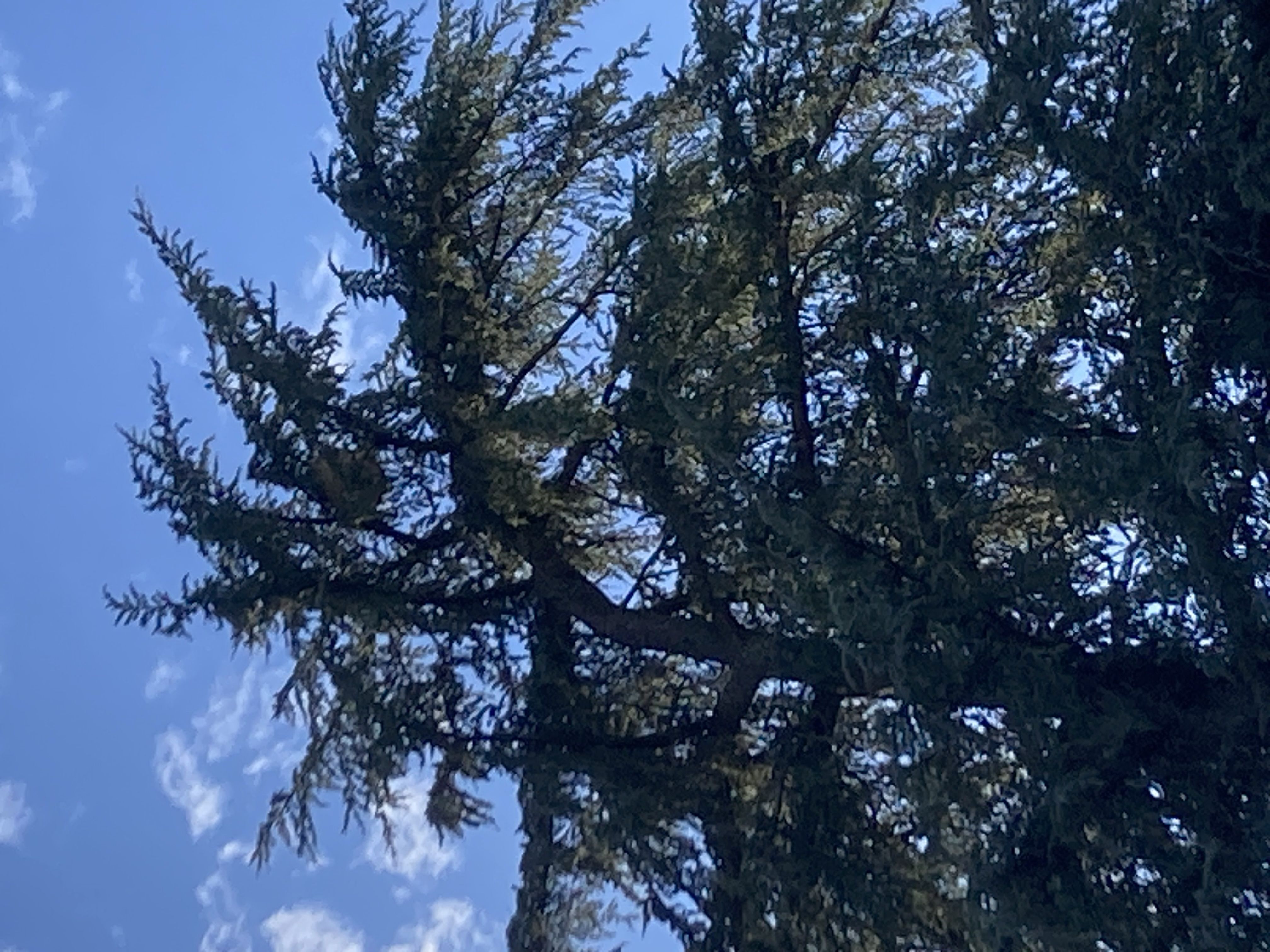 Photo du signalement #458