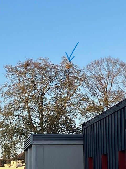 Photo du signalement #465