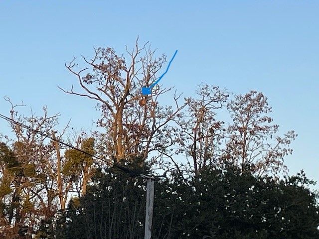 Photo du signalement #467