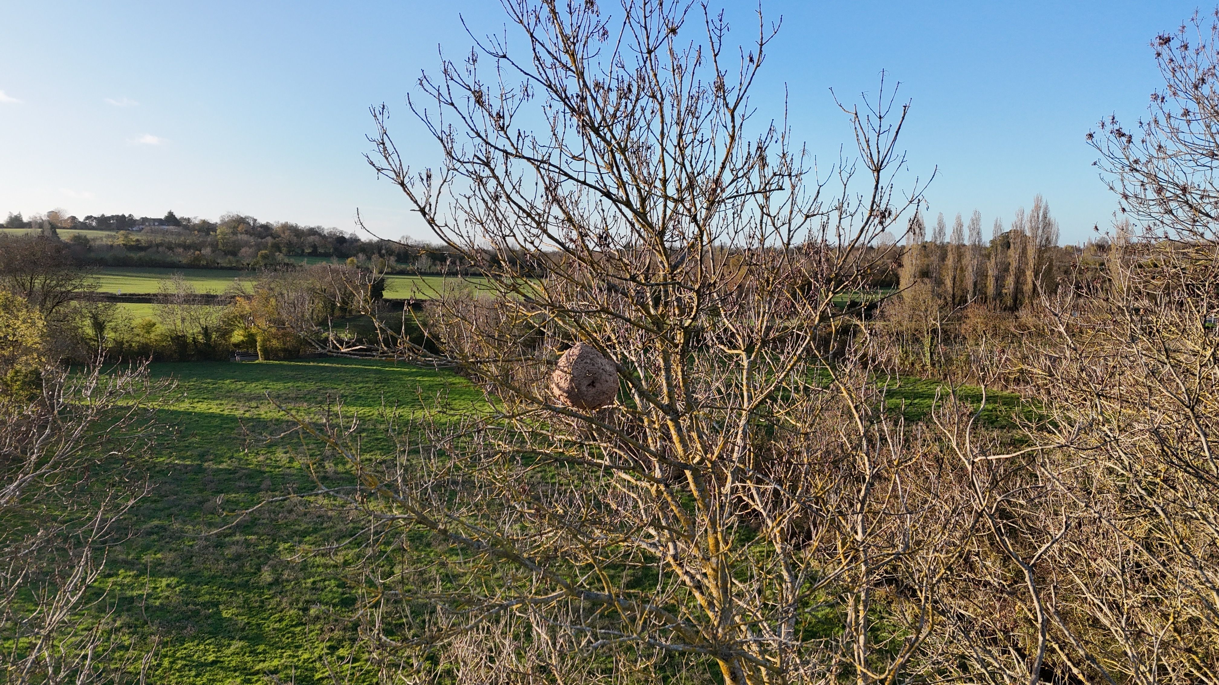 Photo du signalement #474