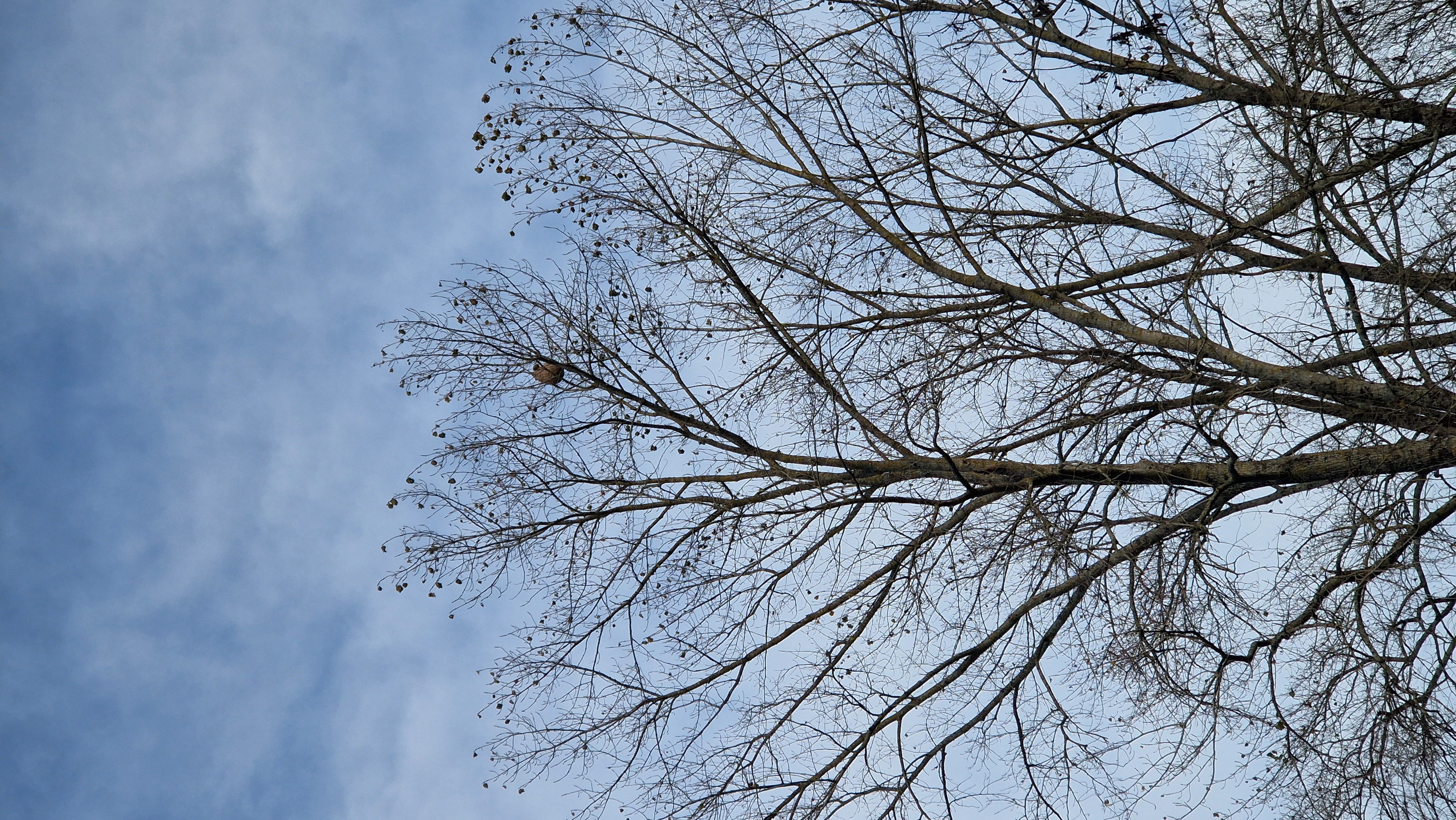 Photo du signalement #475