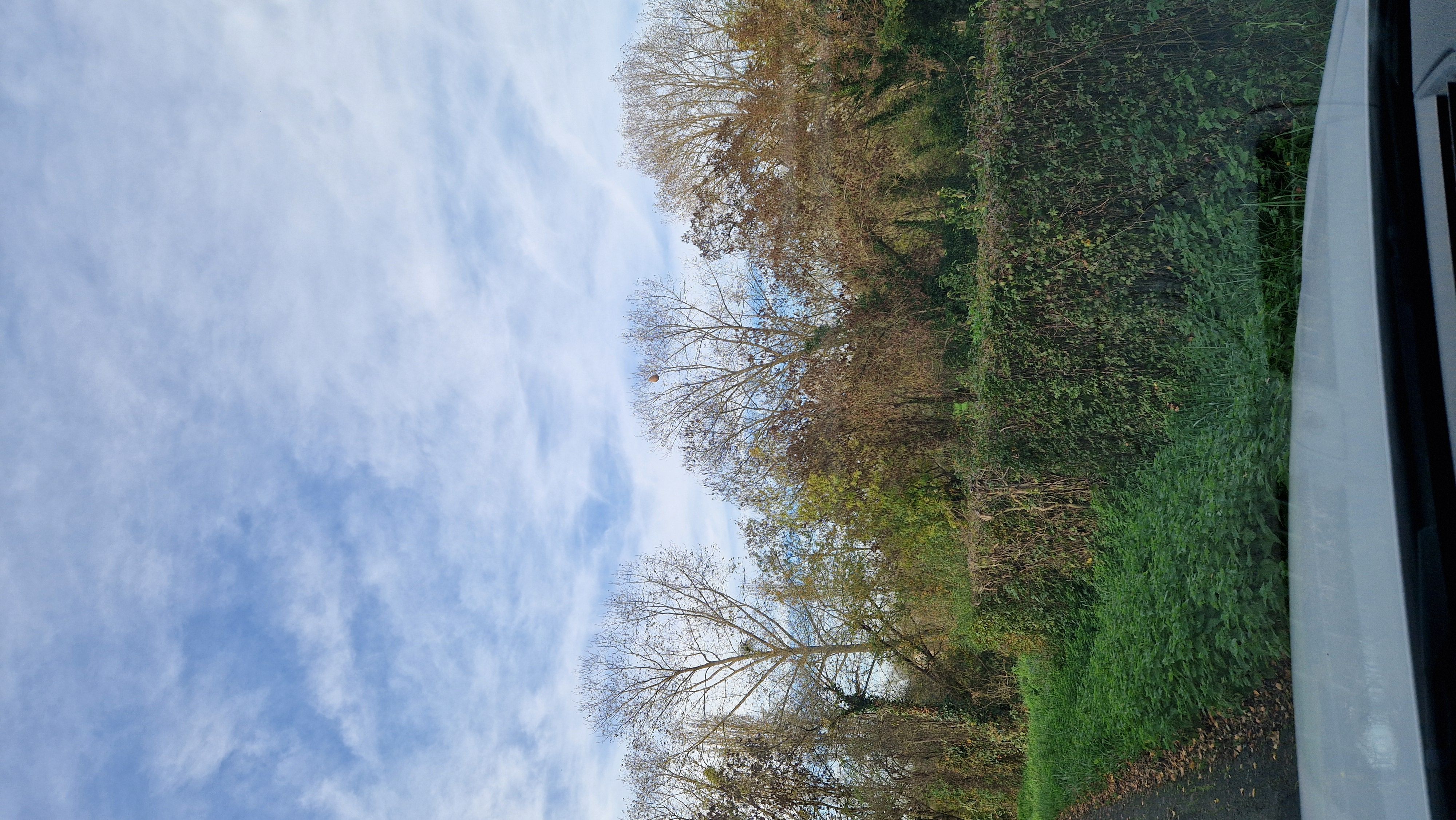 Photo du signalement #476