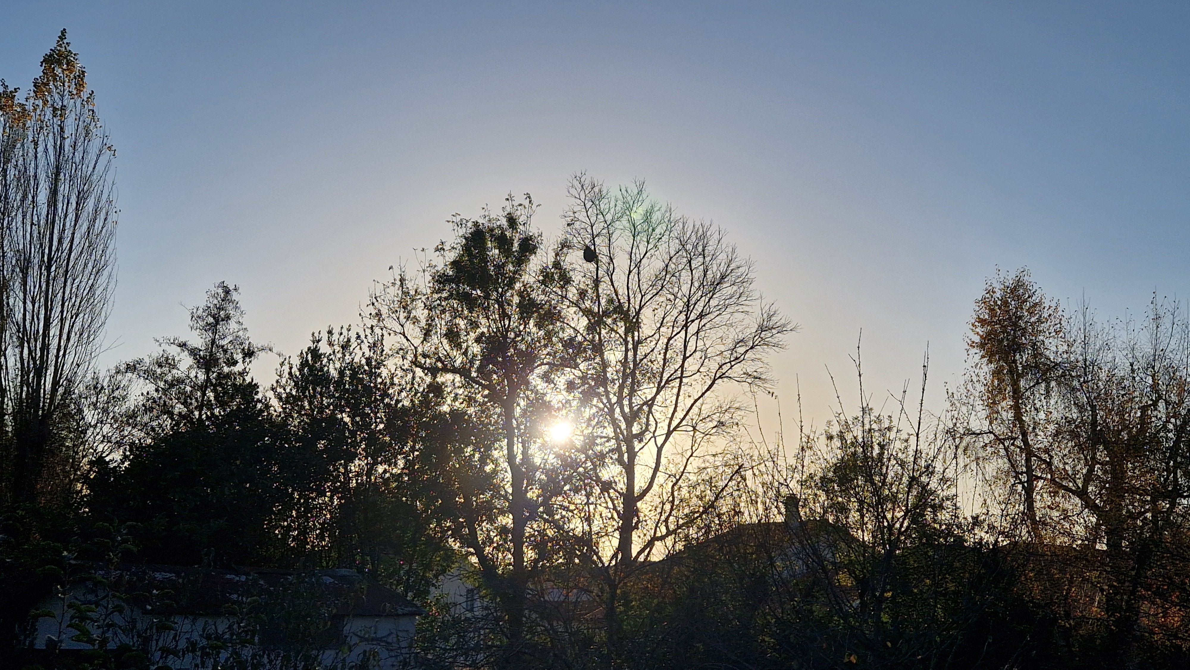 Photo du signalement #477