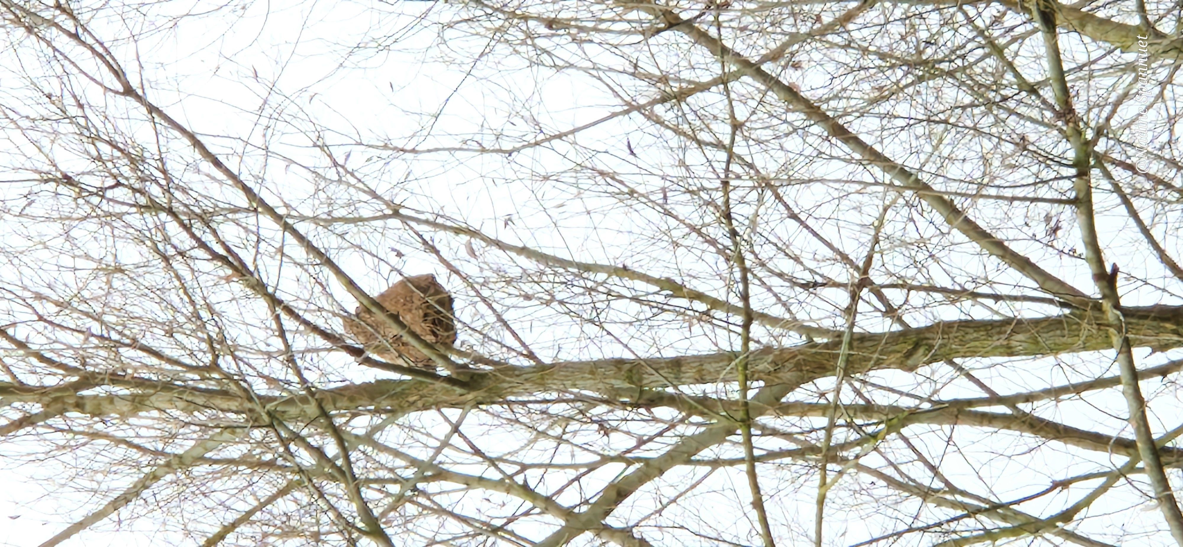 Photo du signalement #483