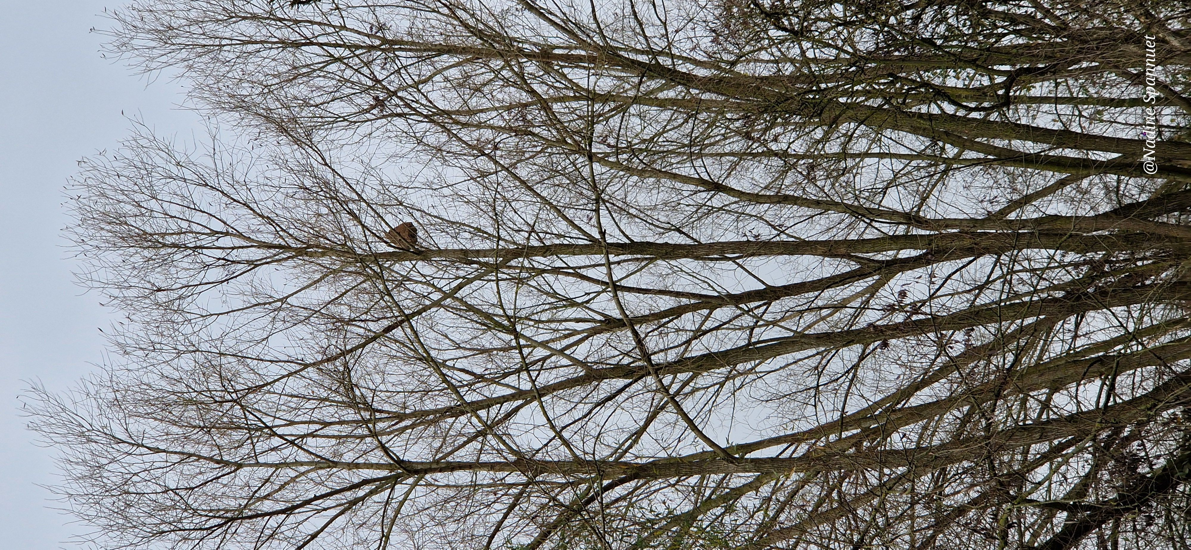 Photo du signalement #483