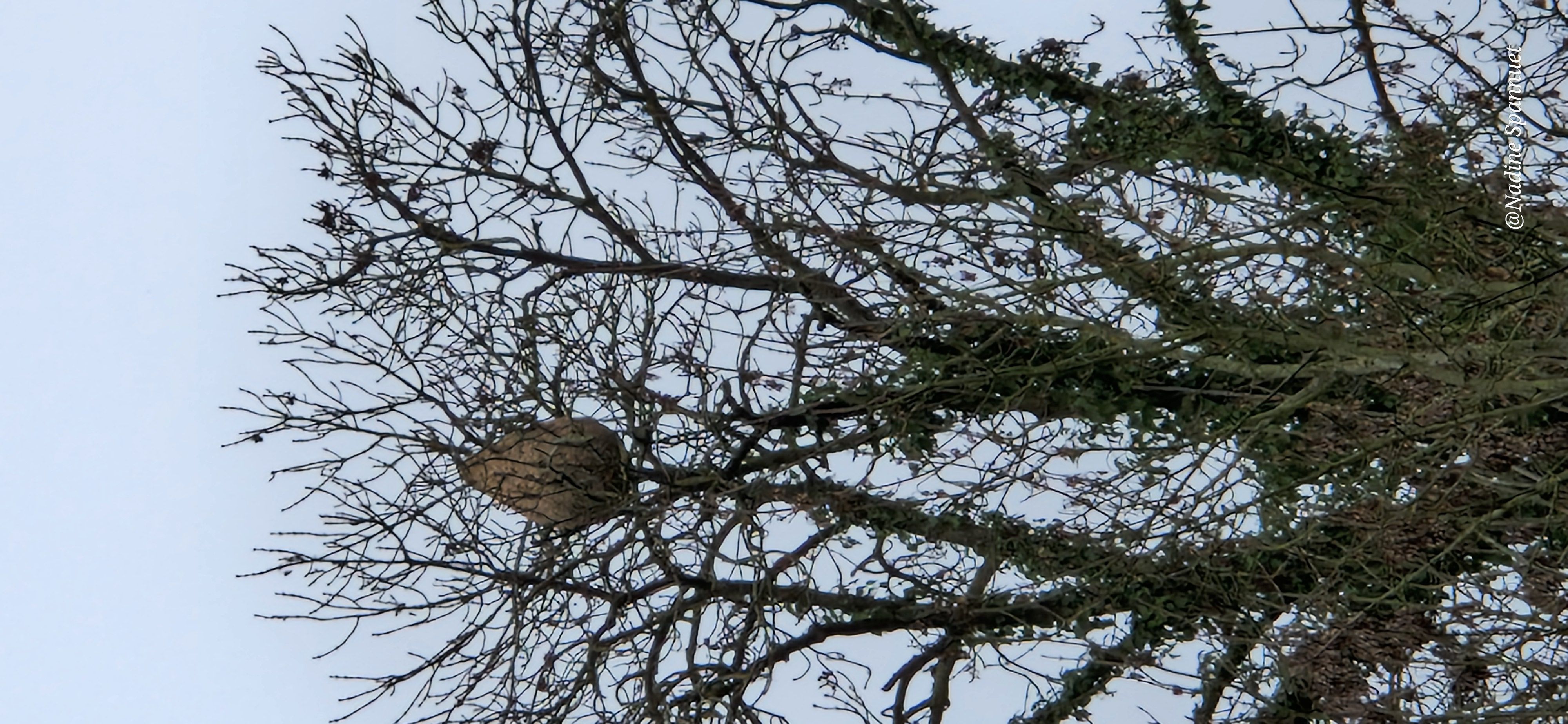 Photo du signalement #484